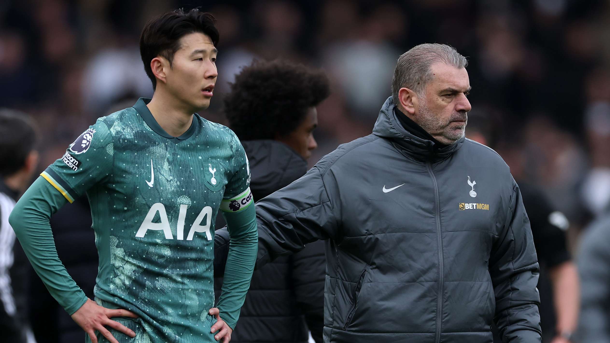 Fulham FC v Tottenham Hotspur FC - Premier League
