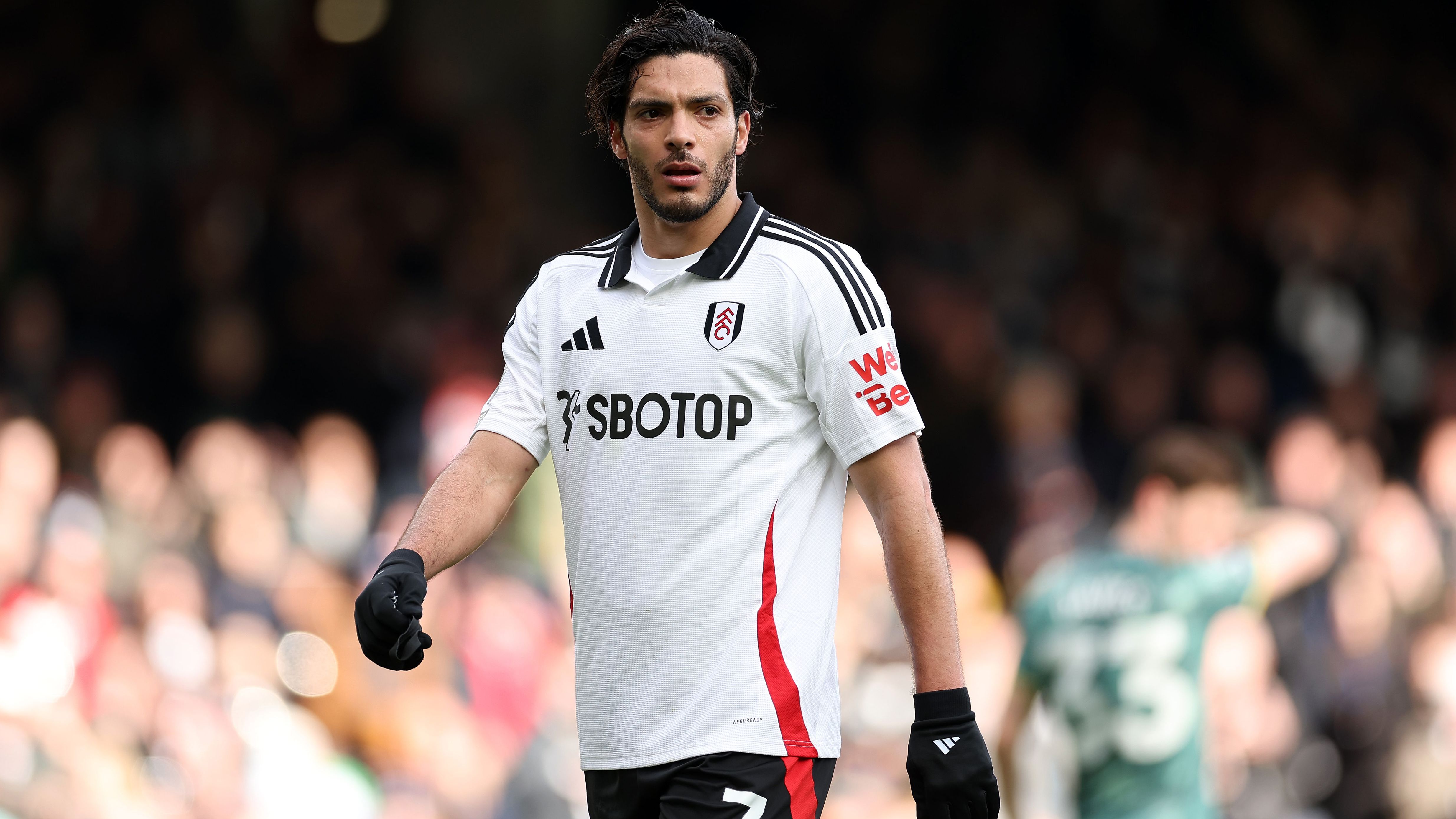 Fulham FC v Tottenham Hotspur FC - Premier League