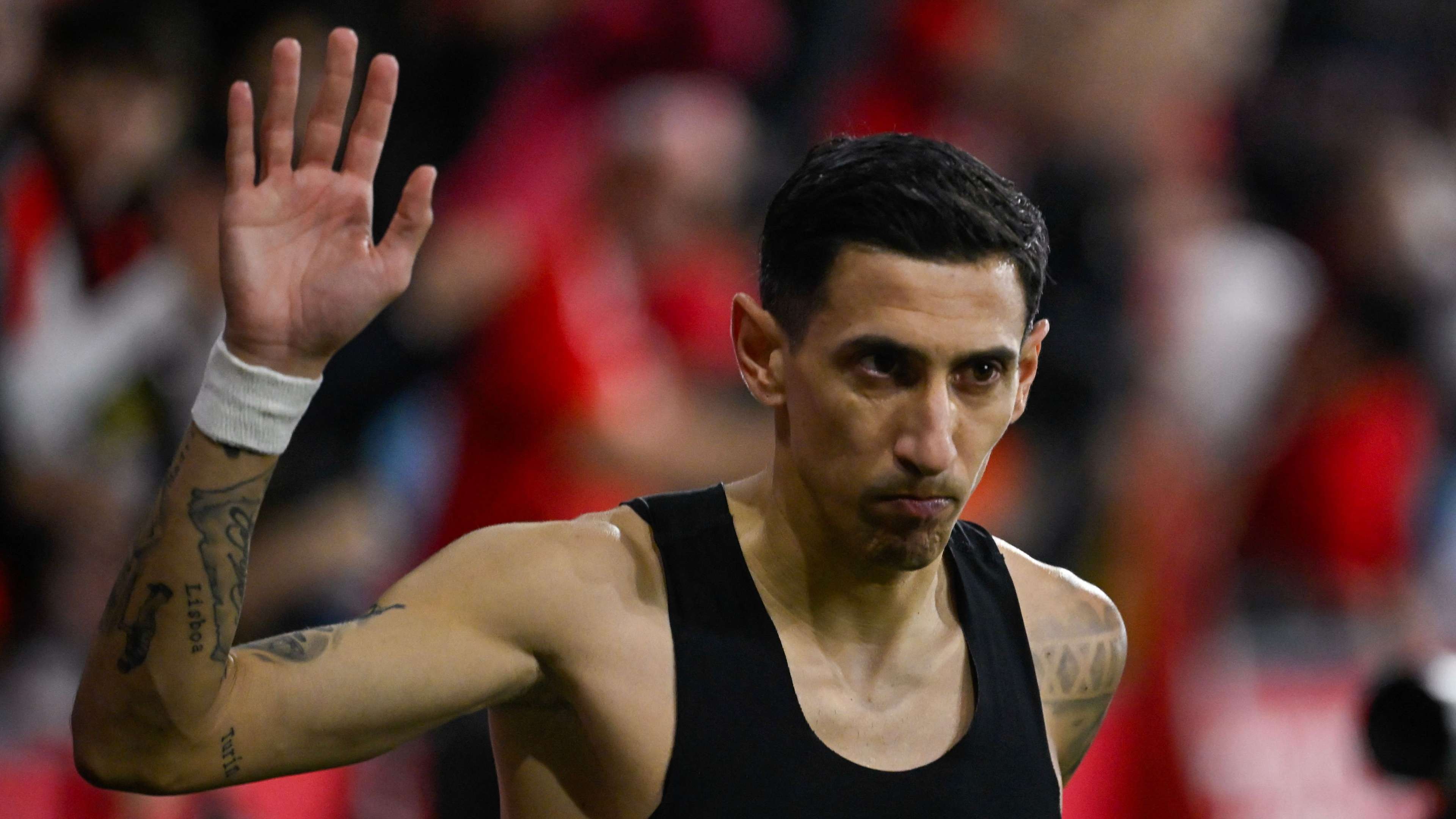 What Rosario Are Saying