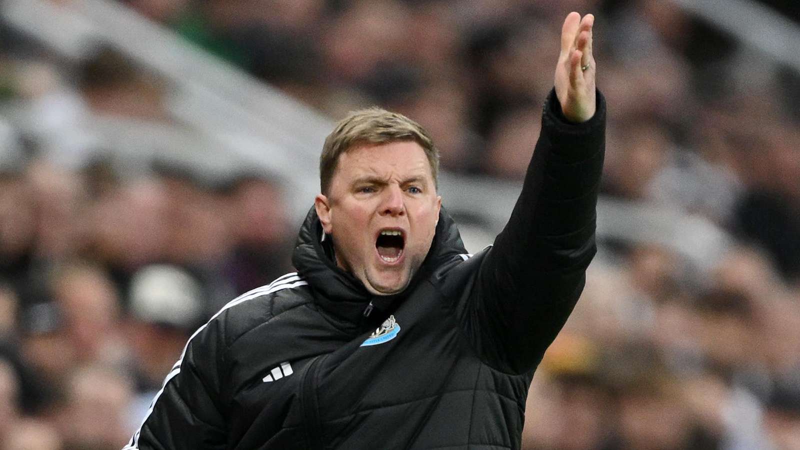 GettyImages-2208171246 Chelsea, Man Utd & Liverpool annoy Newcastle with transfer business as Eddie Howe reacts to ‘frustrating’ failed pursuits of Liam Delap, Joao Pedro, Bryan Mbeumo & Hugo Ekitike