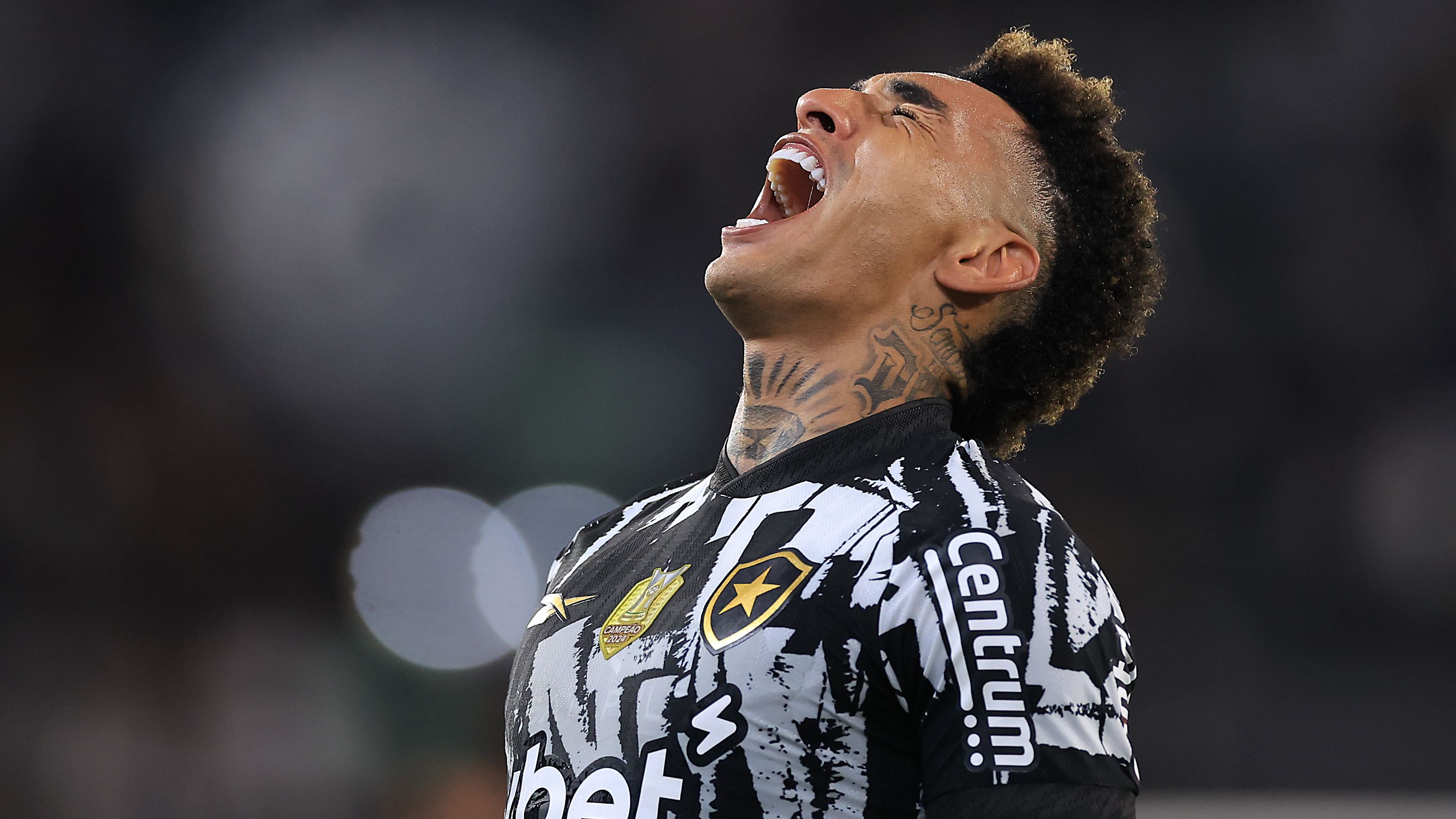 Botafogo v Juventude - Brasileirao 2025