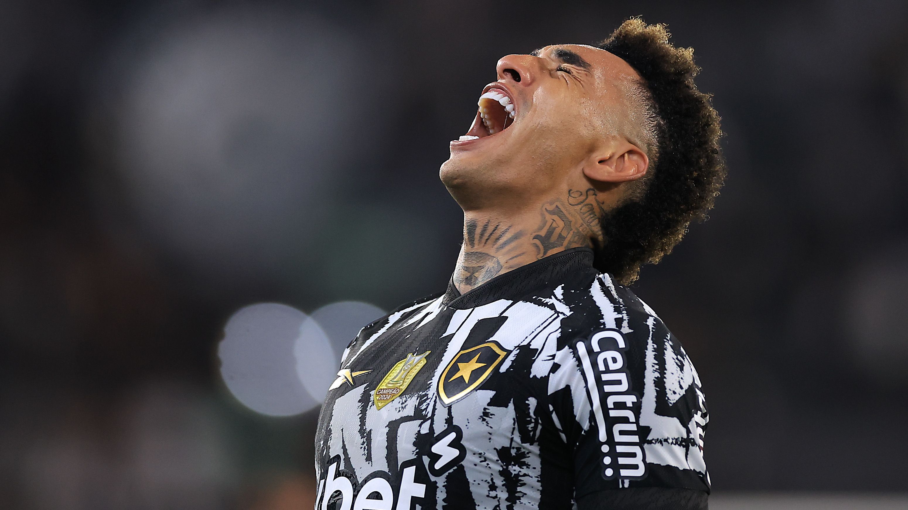 Botafogo v Juventude - Brasileirao 2025