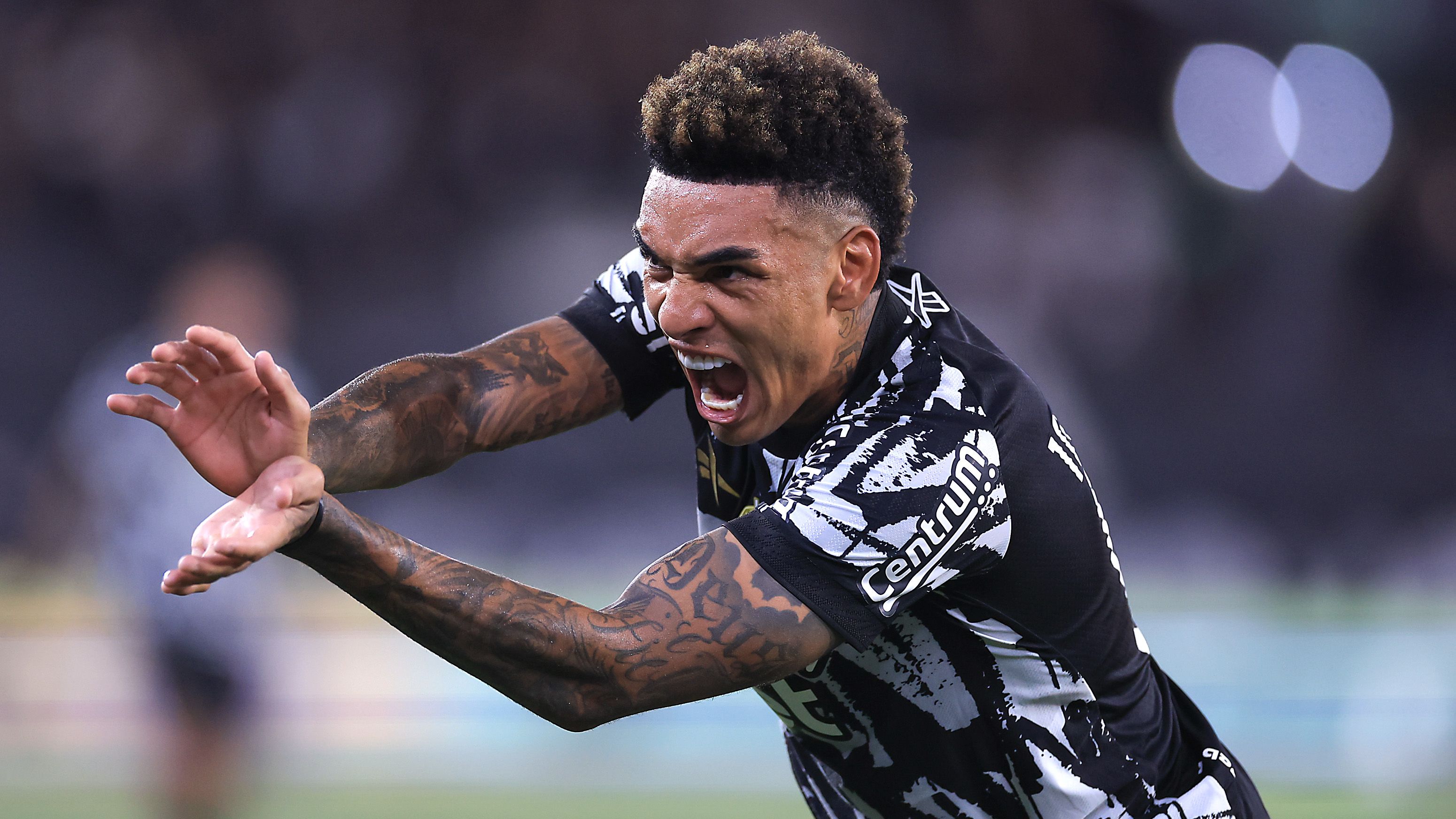 Botafogo v Juventude - Brasileirao 2025