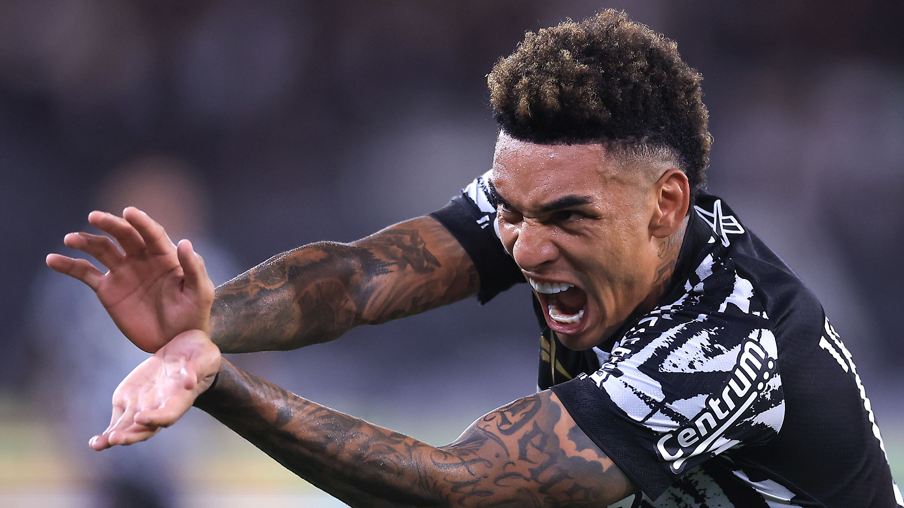 Botafogo v Juventude - Brasileirao 2025