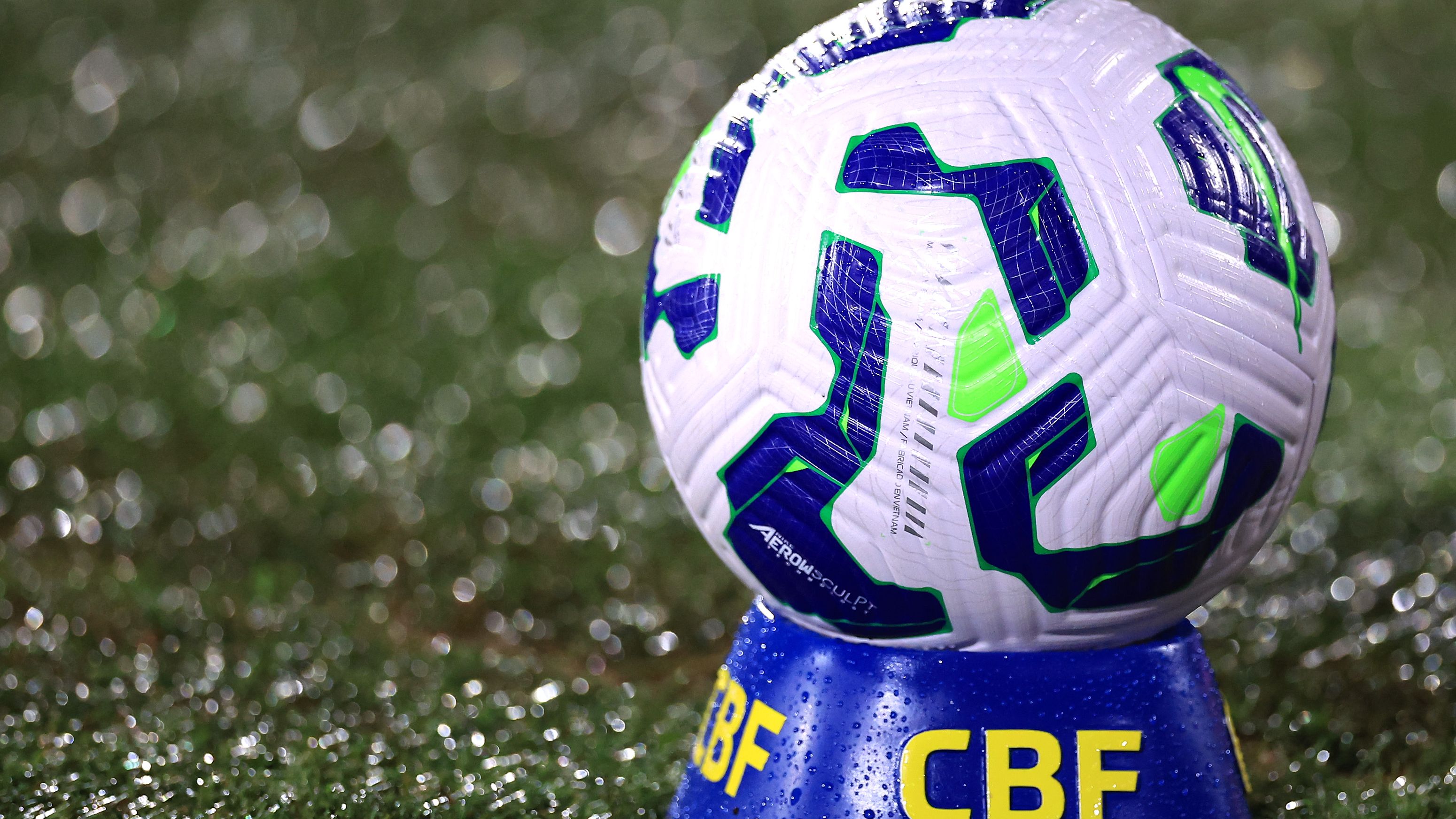 Botafogo v Juventude - Brasileirao 2025