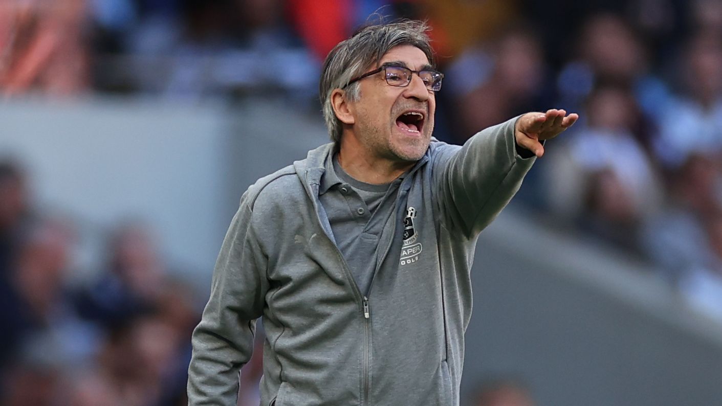 Tottenham Hotspur FC v Southampton FC - Premier League