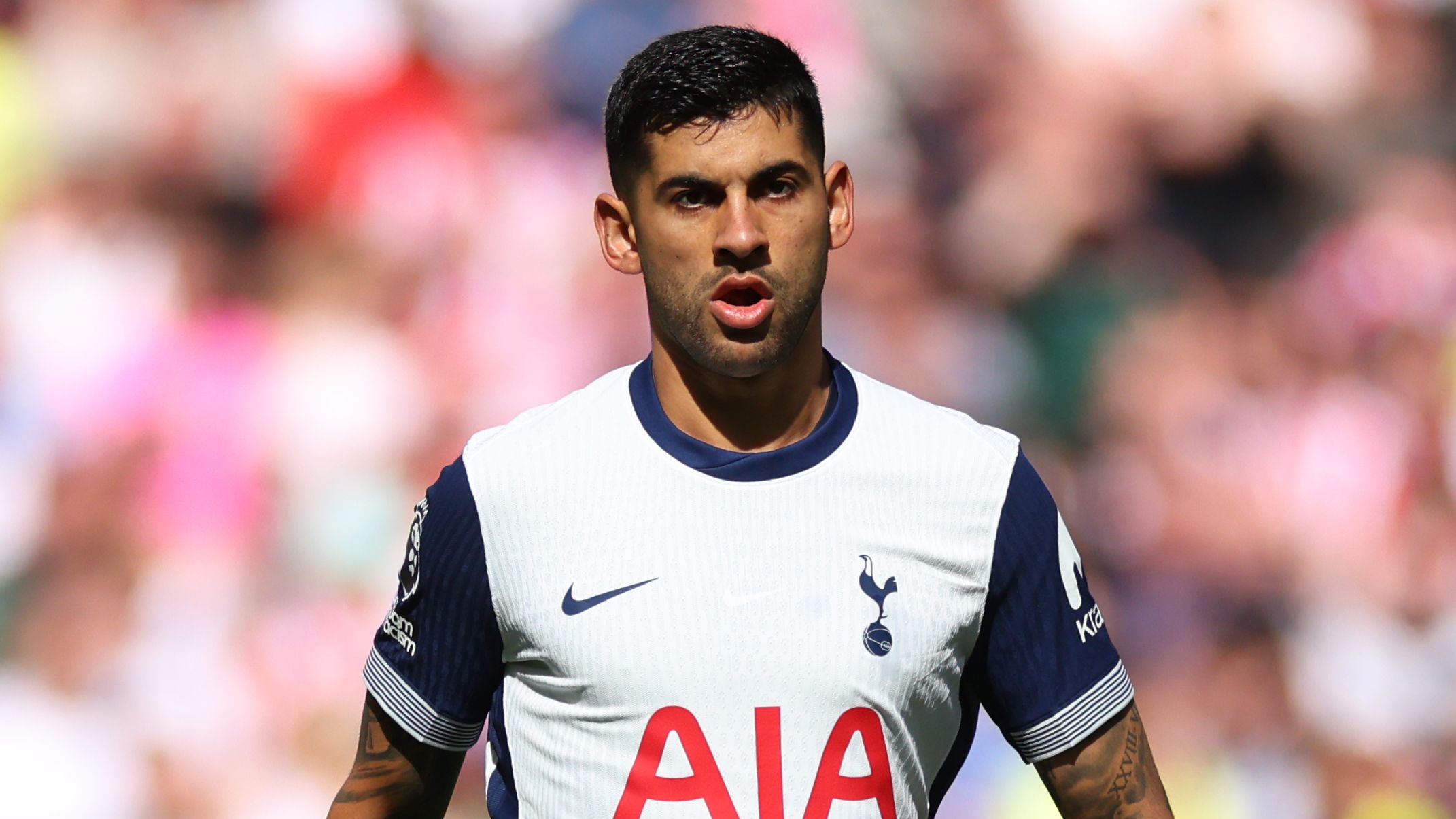 Tottenham Hotspur FC v Southampton FC - Premier League