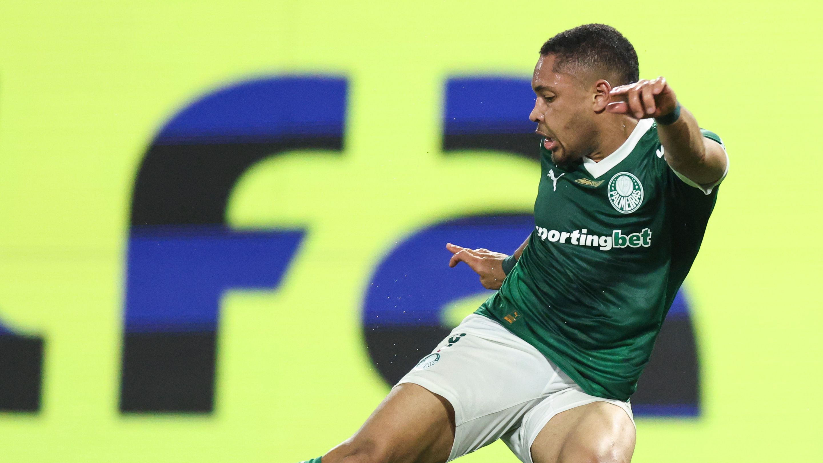 Palmeiras v Corinthians - Brasileirao 2025