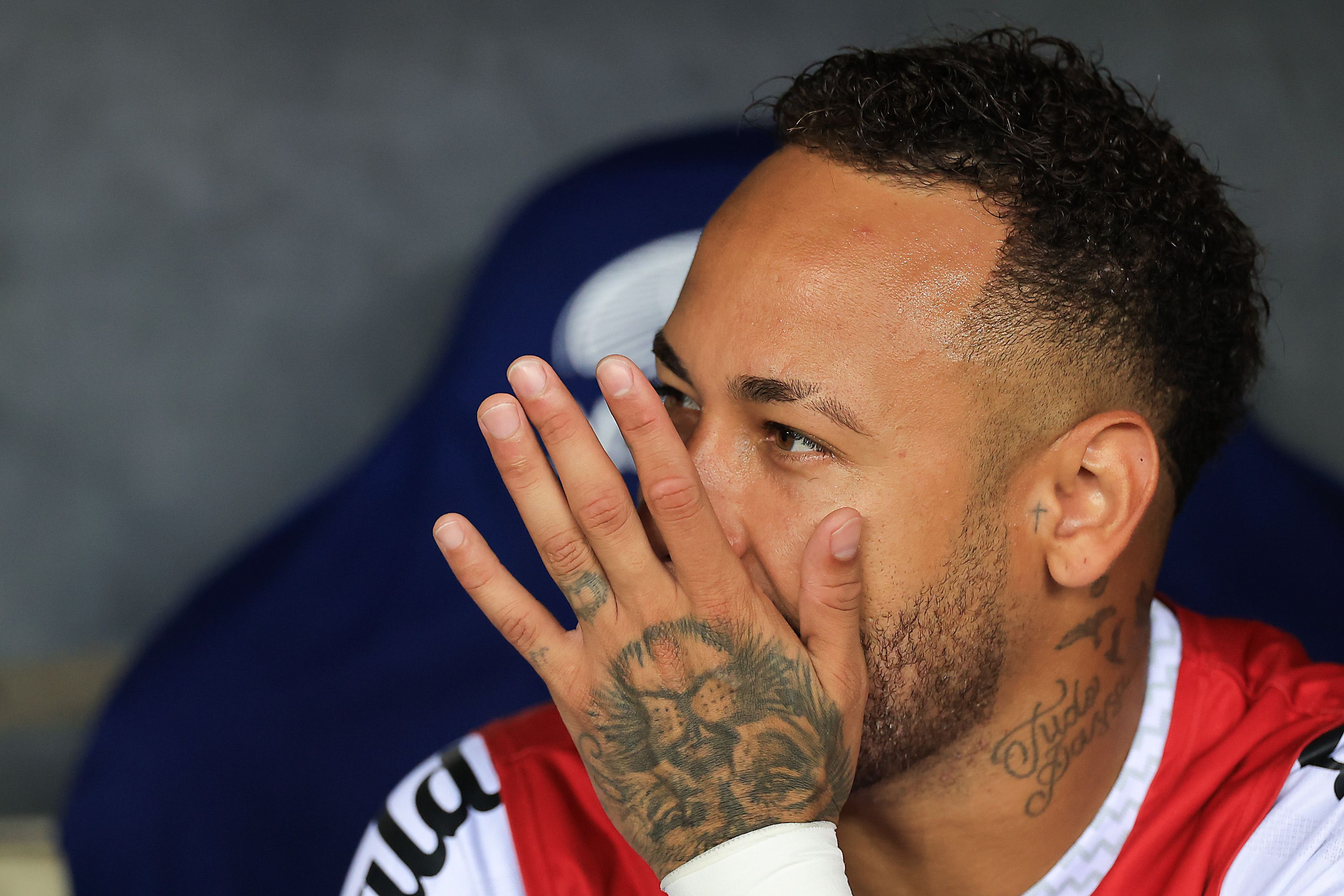 Fluminense v Santos - Brasileirao 2025