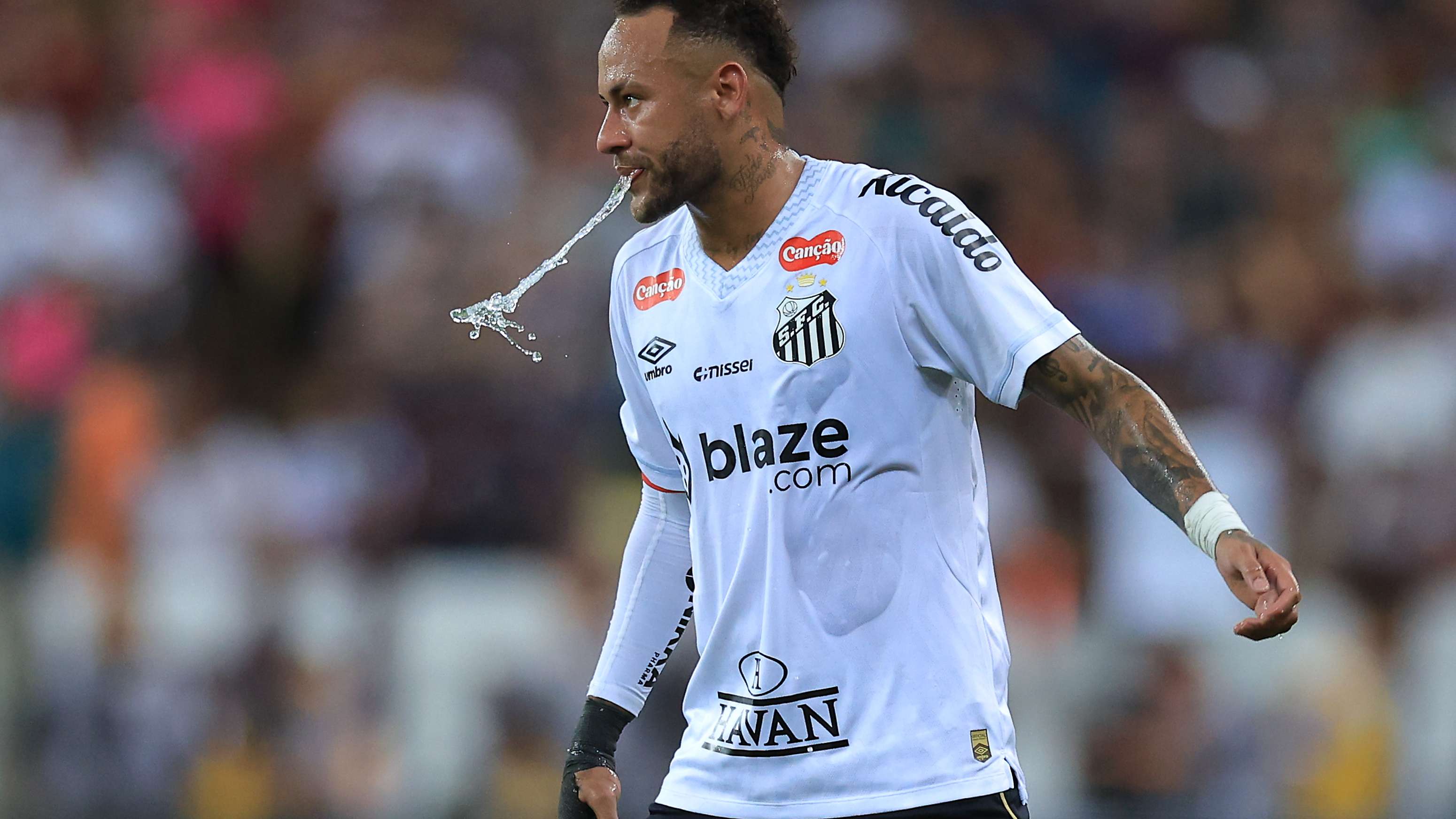 Fluminense v Santos - Brasileirao 2025