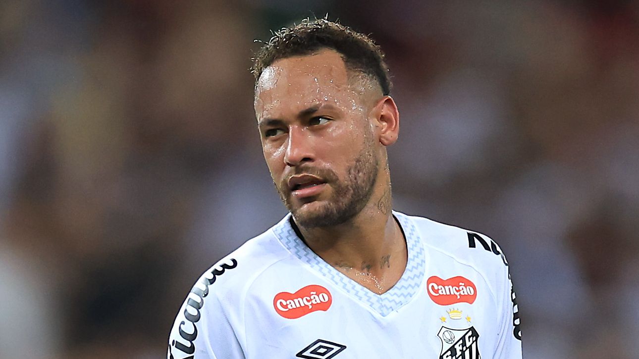 Fluminense v Santos - Brasileirao 2025