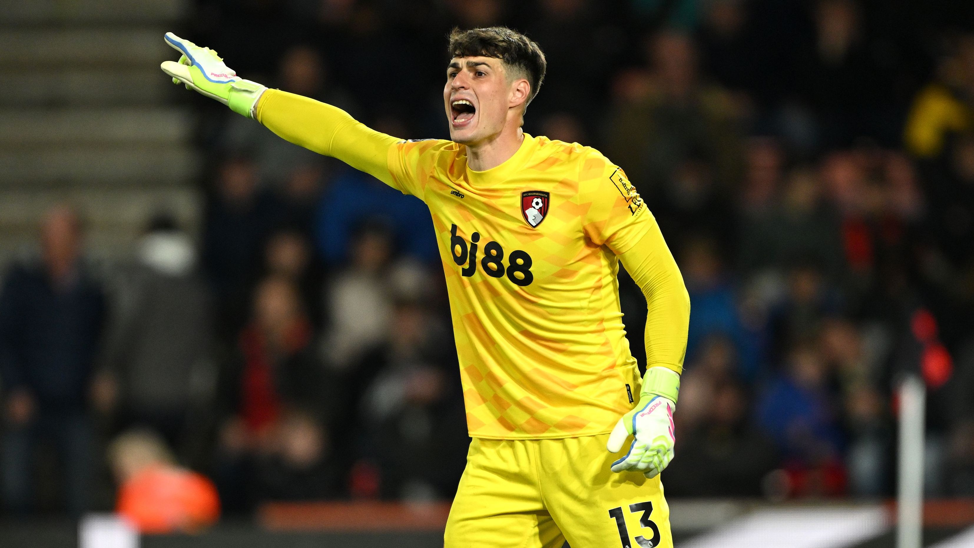 AFC Bournemouth v Fulham FC - Premier League