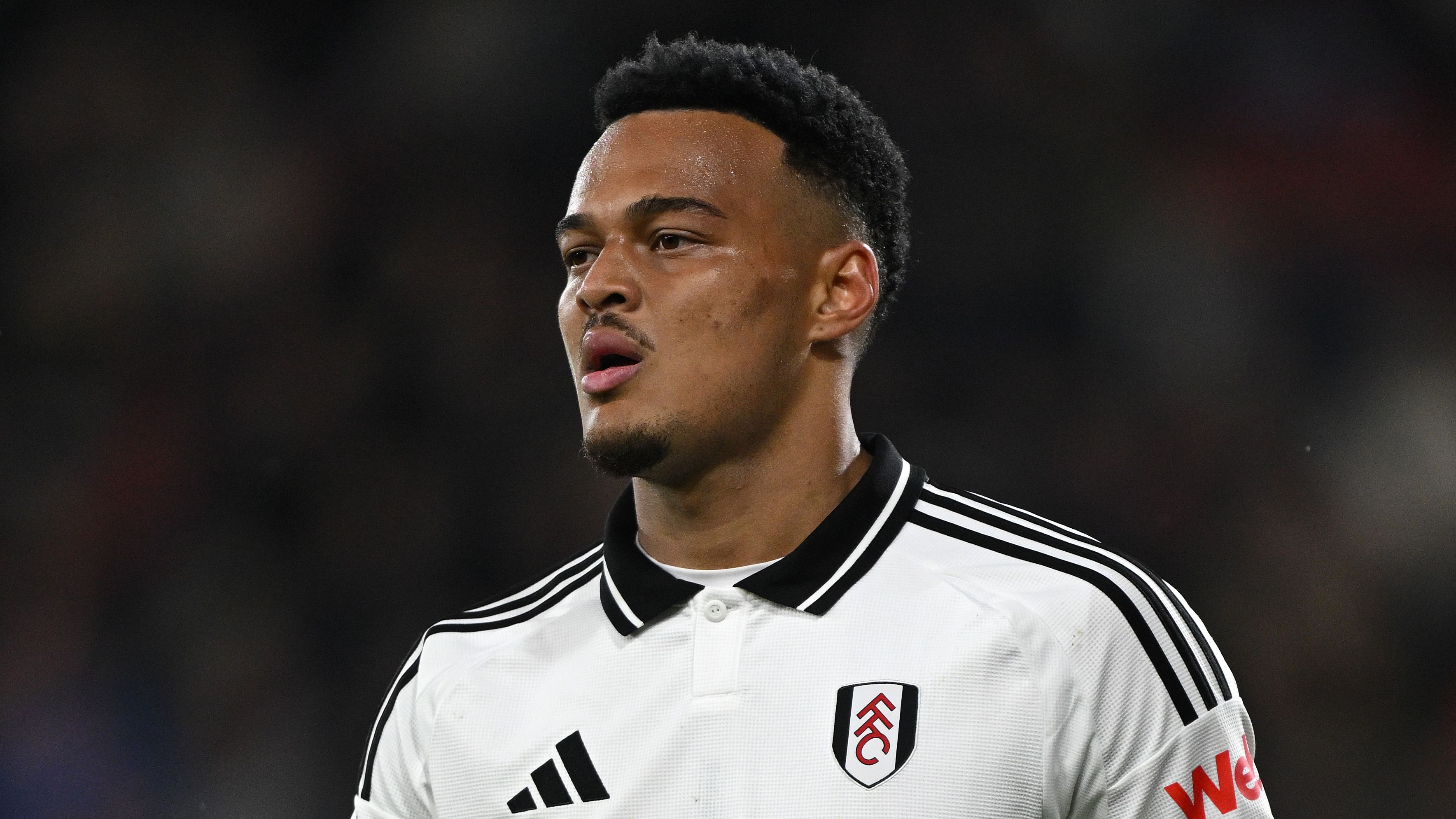 AFC Bournemouth v Fulham FC - Premier League