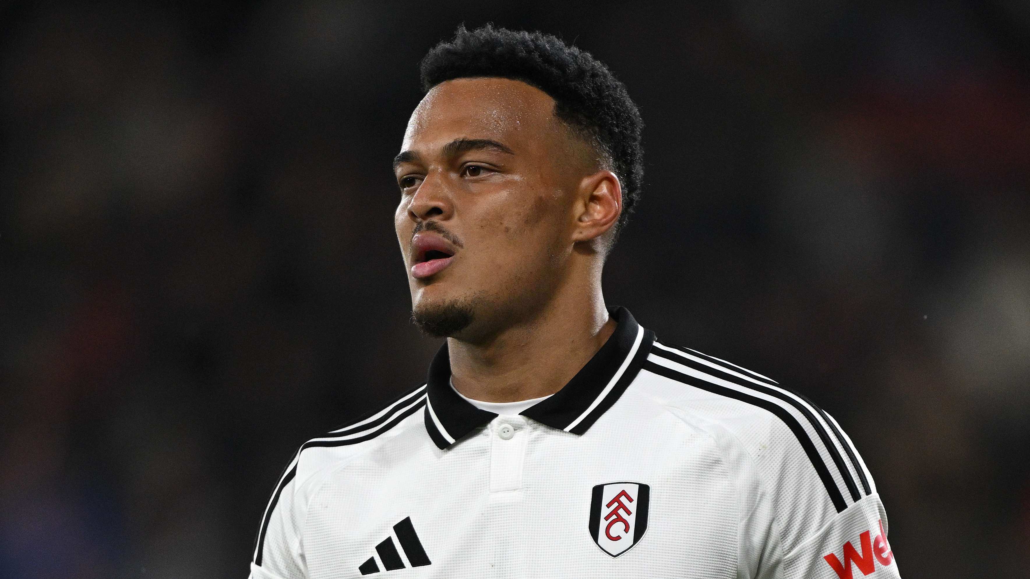 AFC Bournemouth v Fulham FC - Premier League