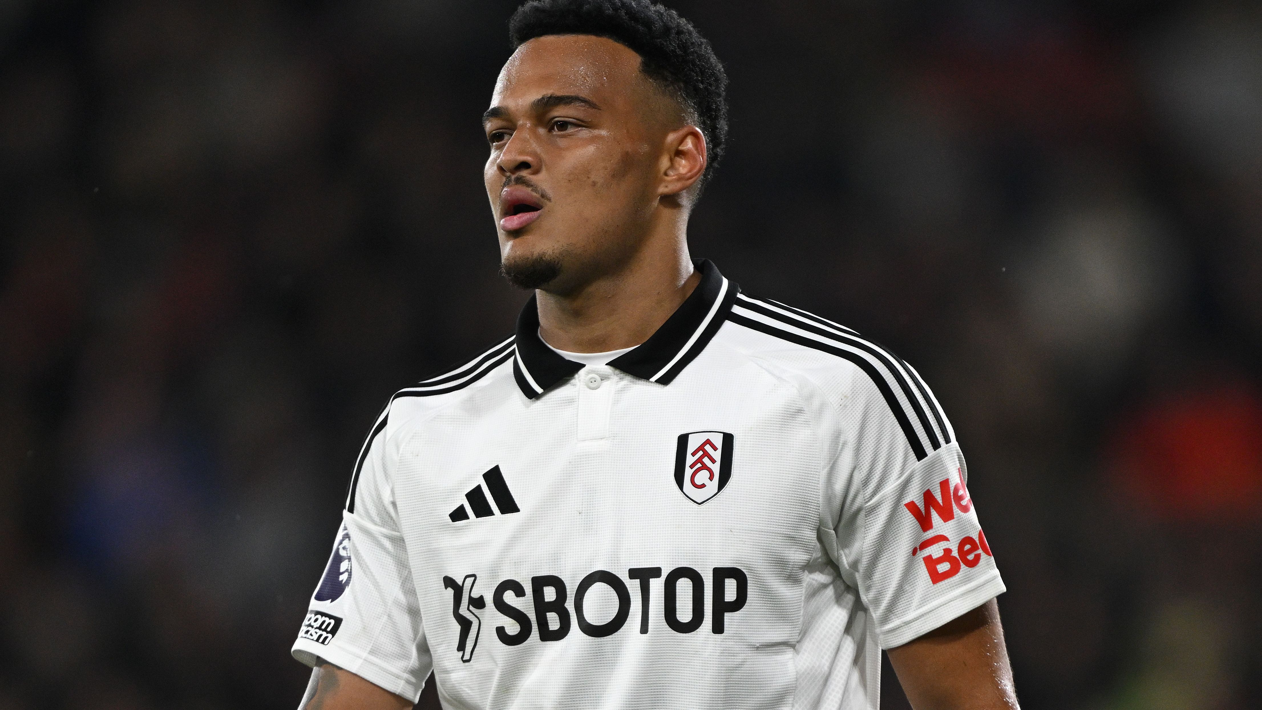 AFC Bournemouth v Fulham FC - Premier League