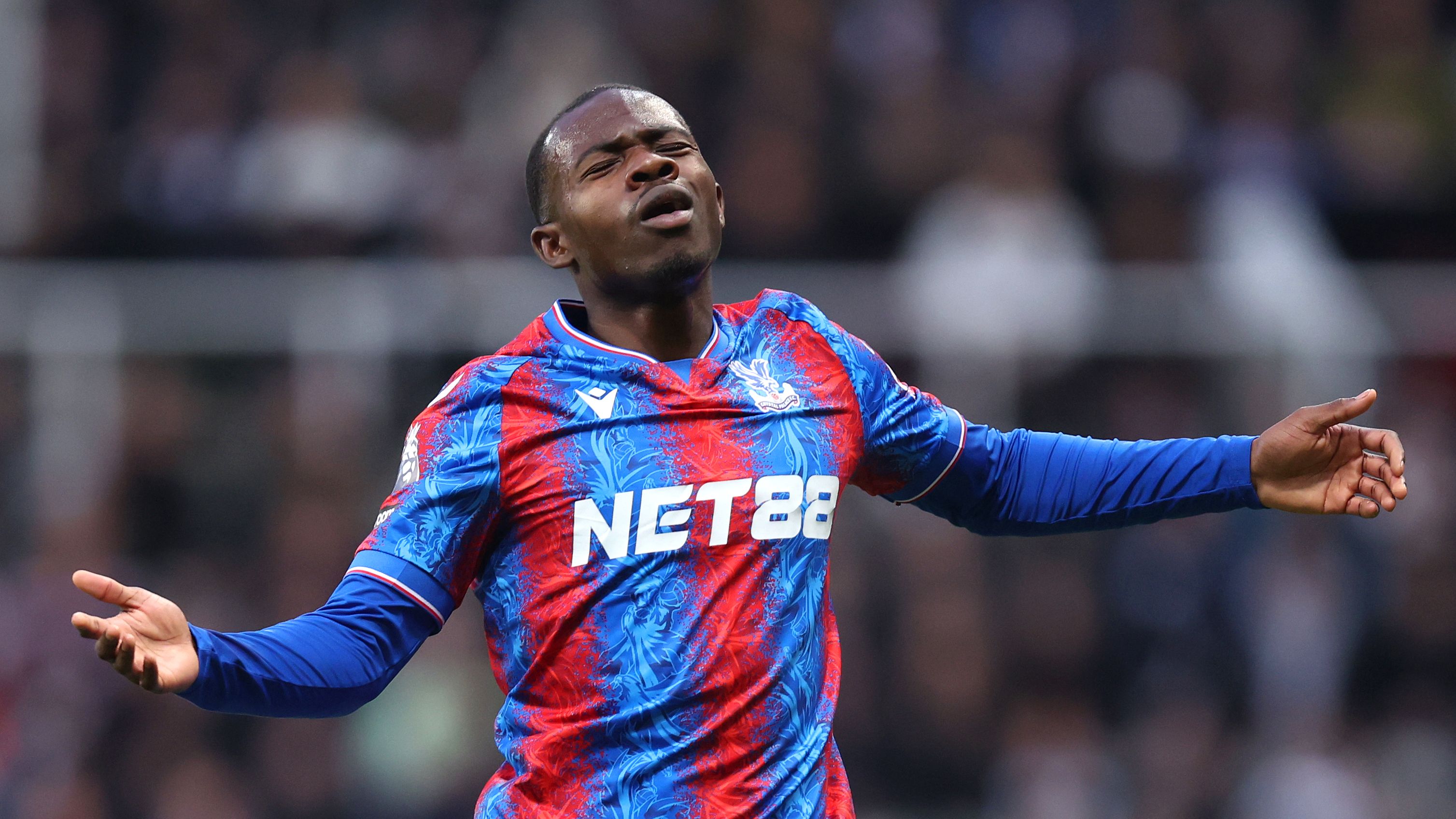 Newcastle United FC v Crystal Palace FC - Premier League
