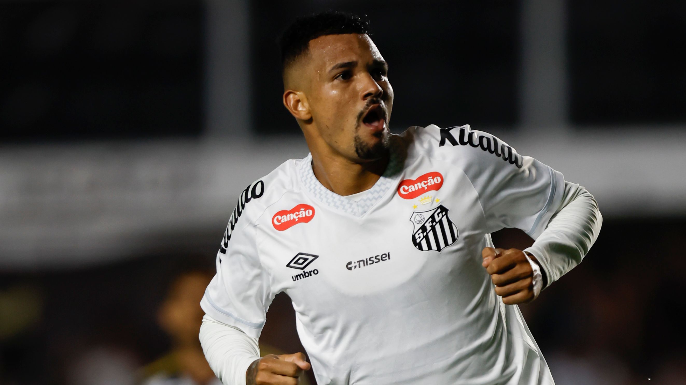 Santos v Atletico Mineiro - Brasileirao 2025