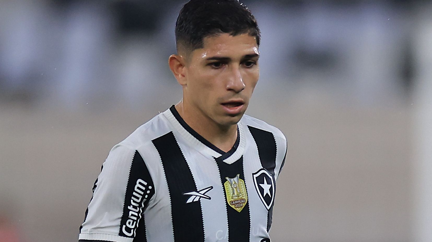 Botafogo v Sao Paulo - Brasileirao 2025