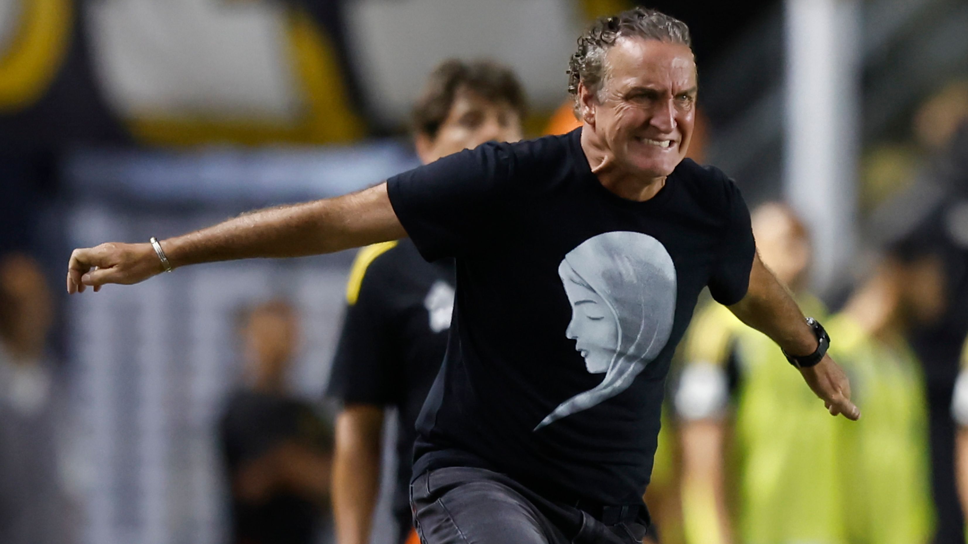 Santos v Atletico Mineiro - Brasileirao 2025