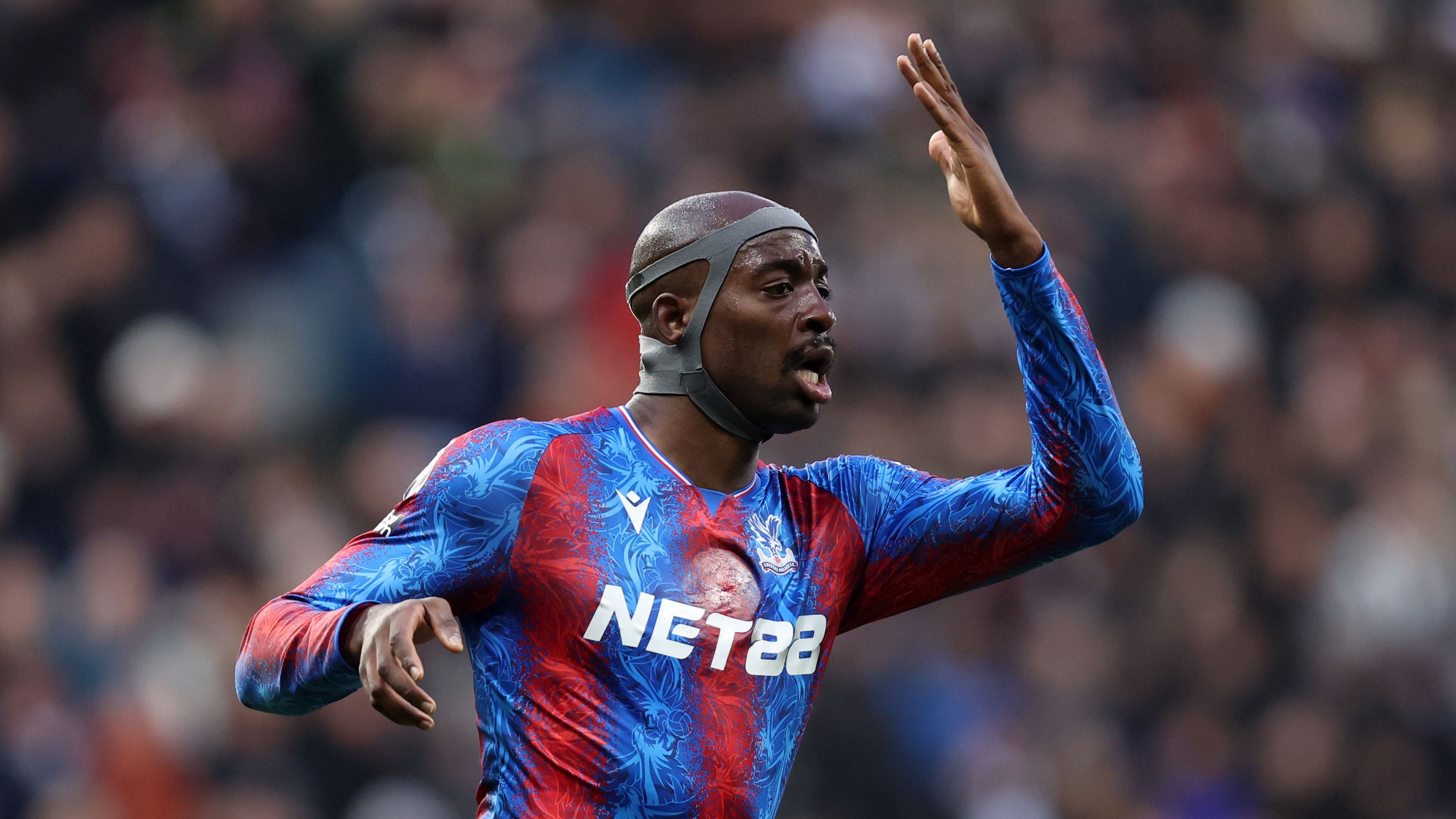 Newcastle United FC v Crystal Palace FC - Premier League