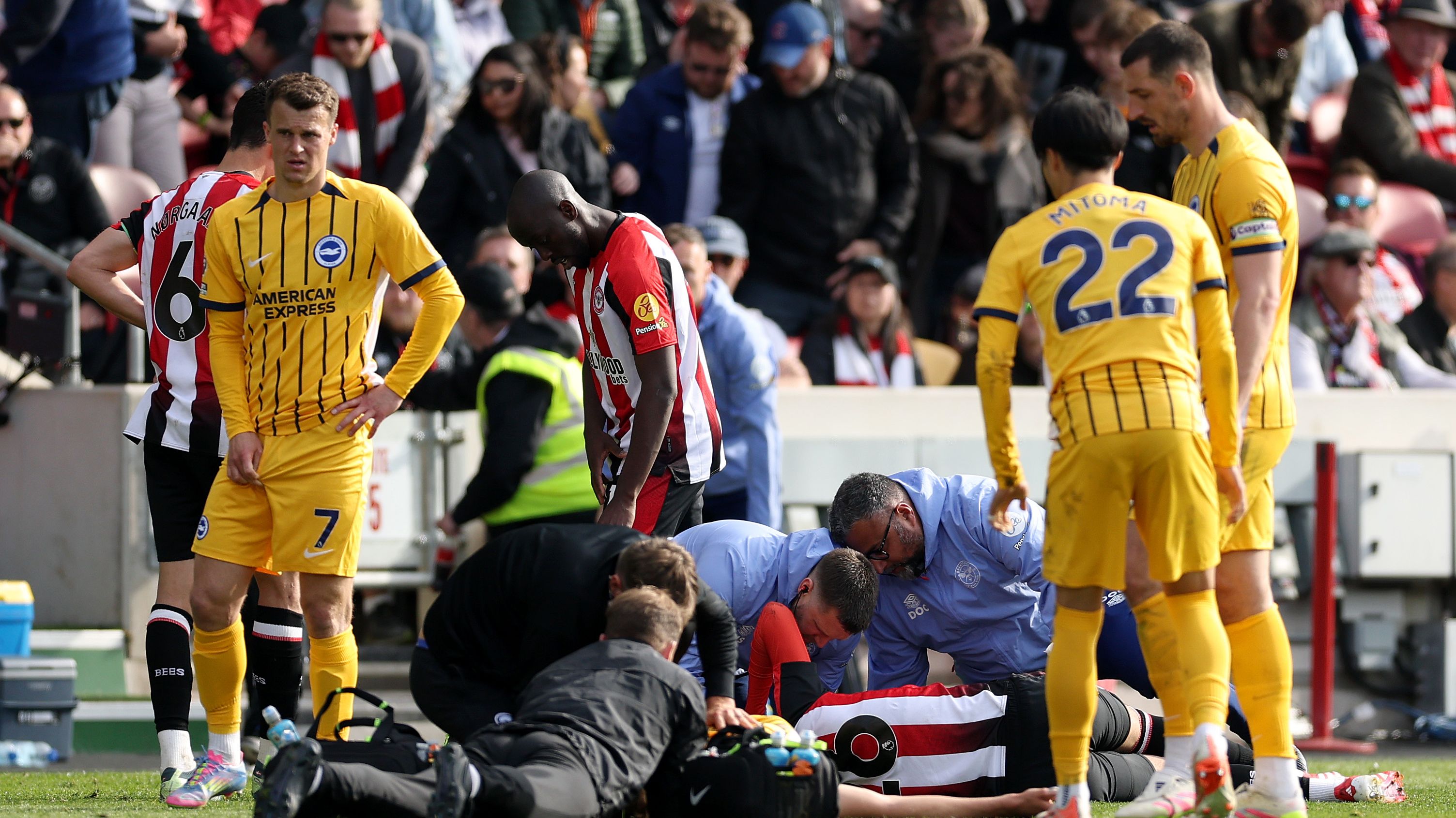 Brentford FC v Brighton & Hove Albion FC - Premier League
