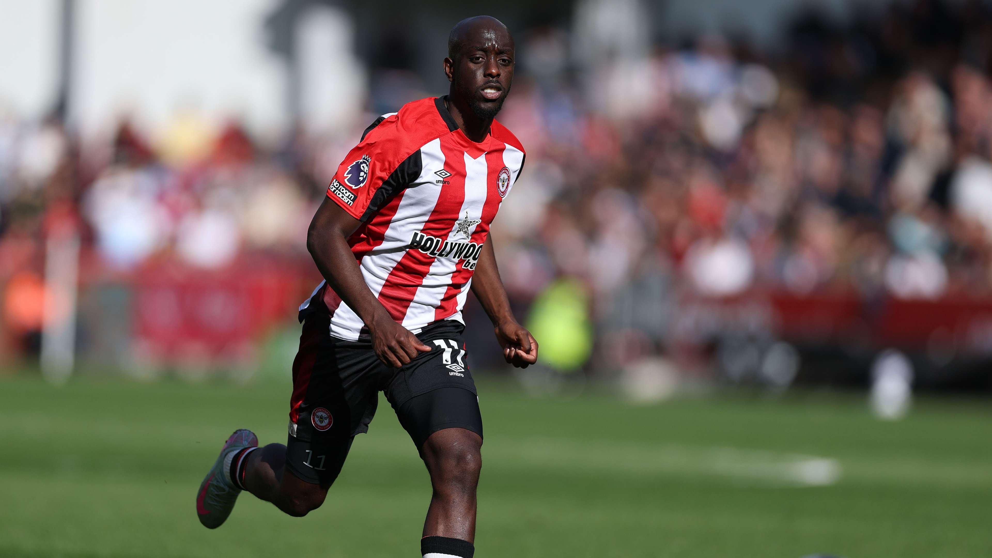 Brentford FC v Brighton & Hove Albion FC - Premier League