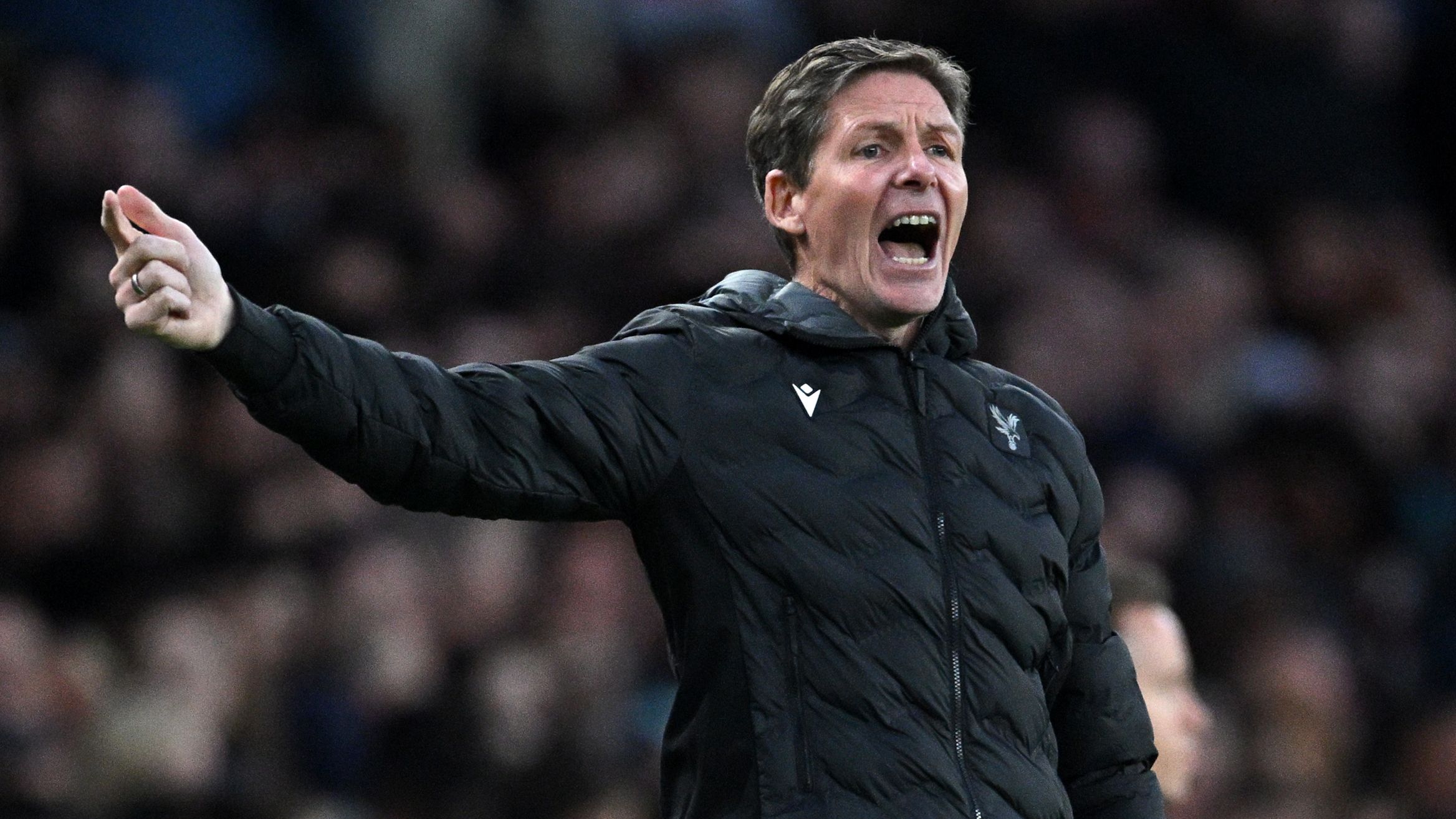 Arsenal FC v Crystal Palace FC - Premier League