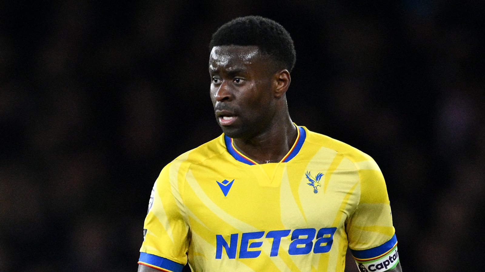 Arsenal FC v Crystal Palace FC - Premier League