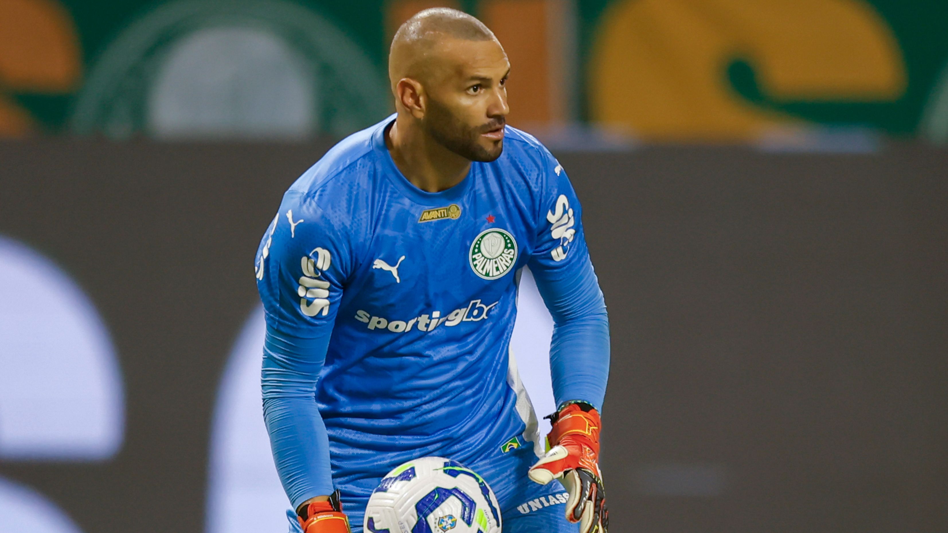 Palmeiras v Bahia - Brasileirao 2025