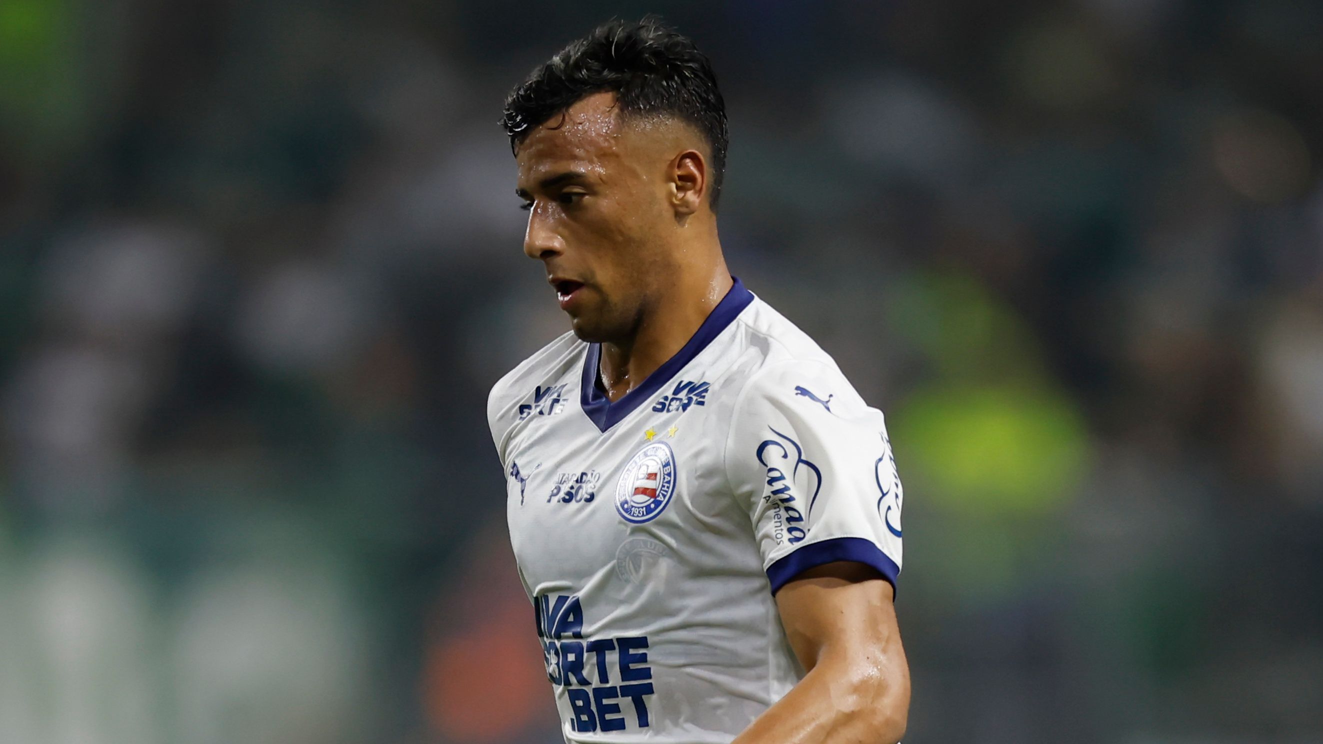 Palmeiras v Bahia - Brasileirao 2025