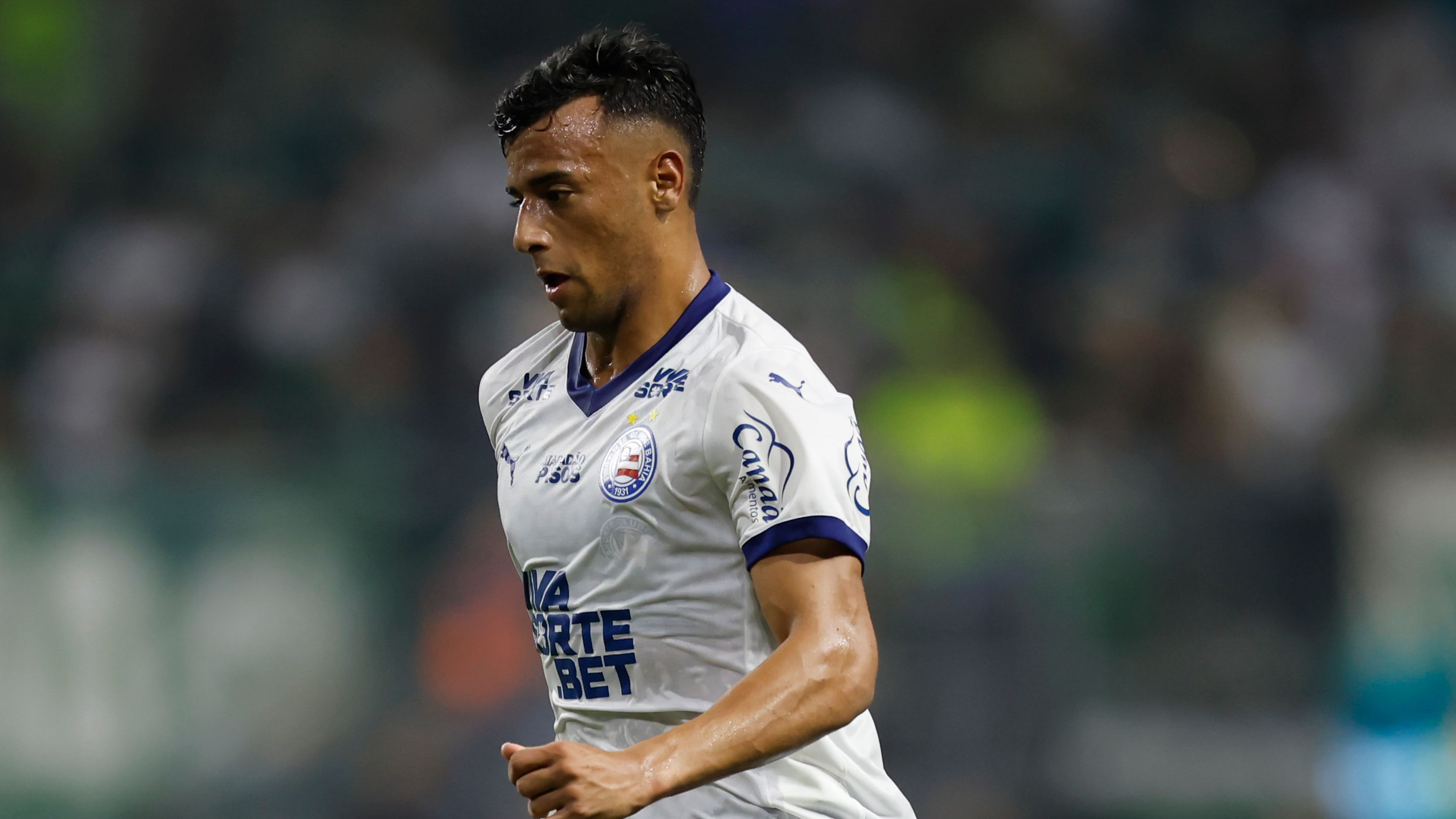 Palmeiras v Bahia - Brasileirao 2025