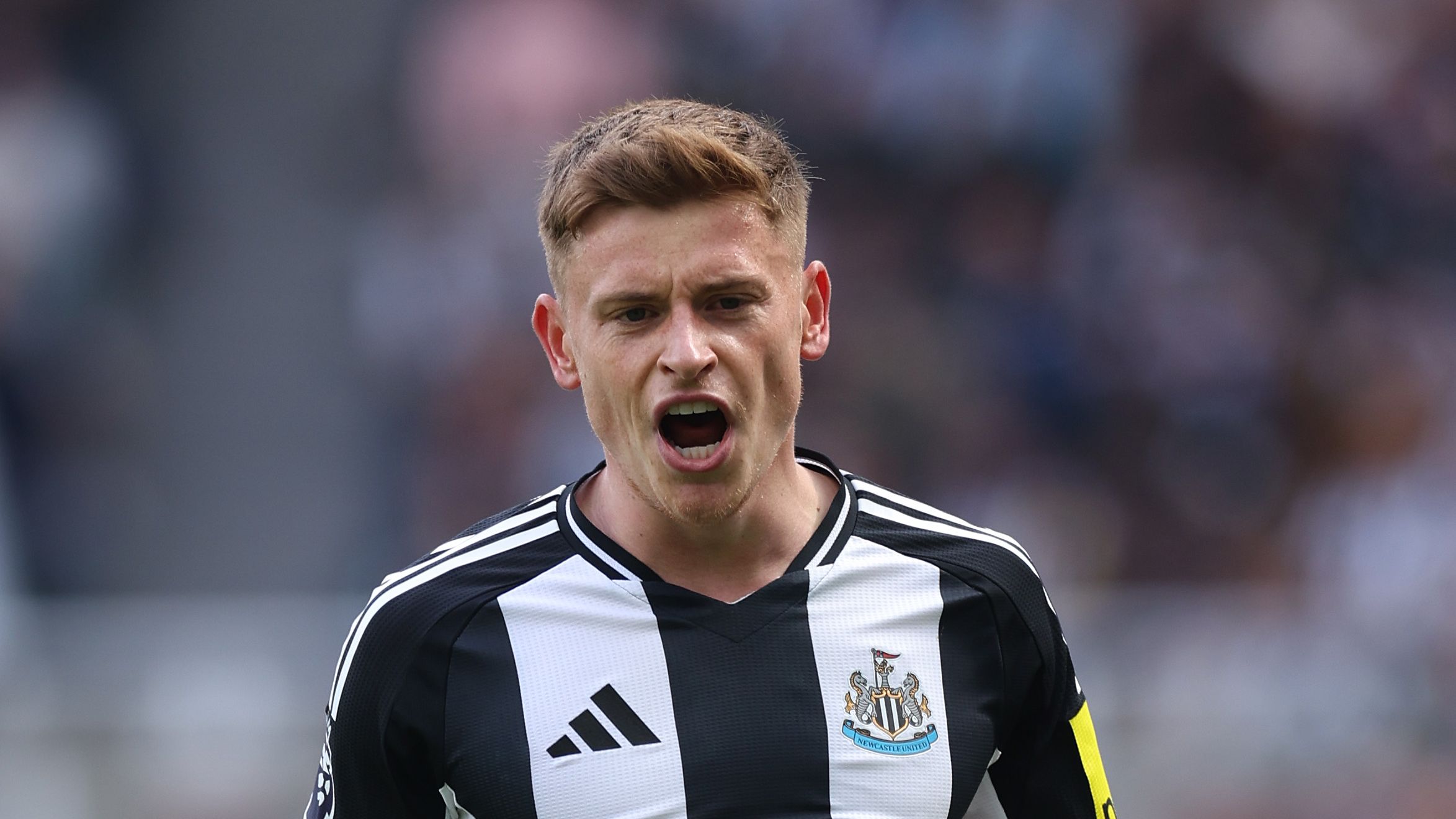 Newcastle United FC v Ipswich Town FC - Premier League