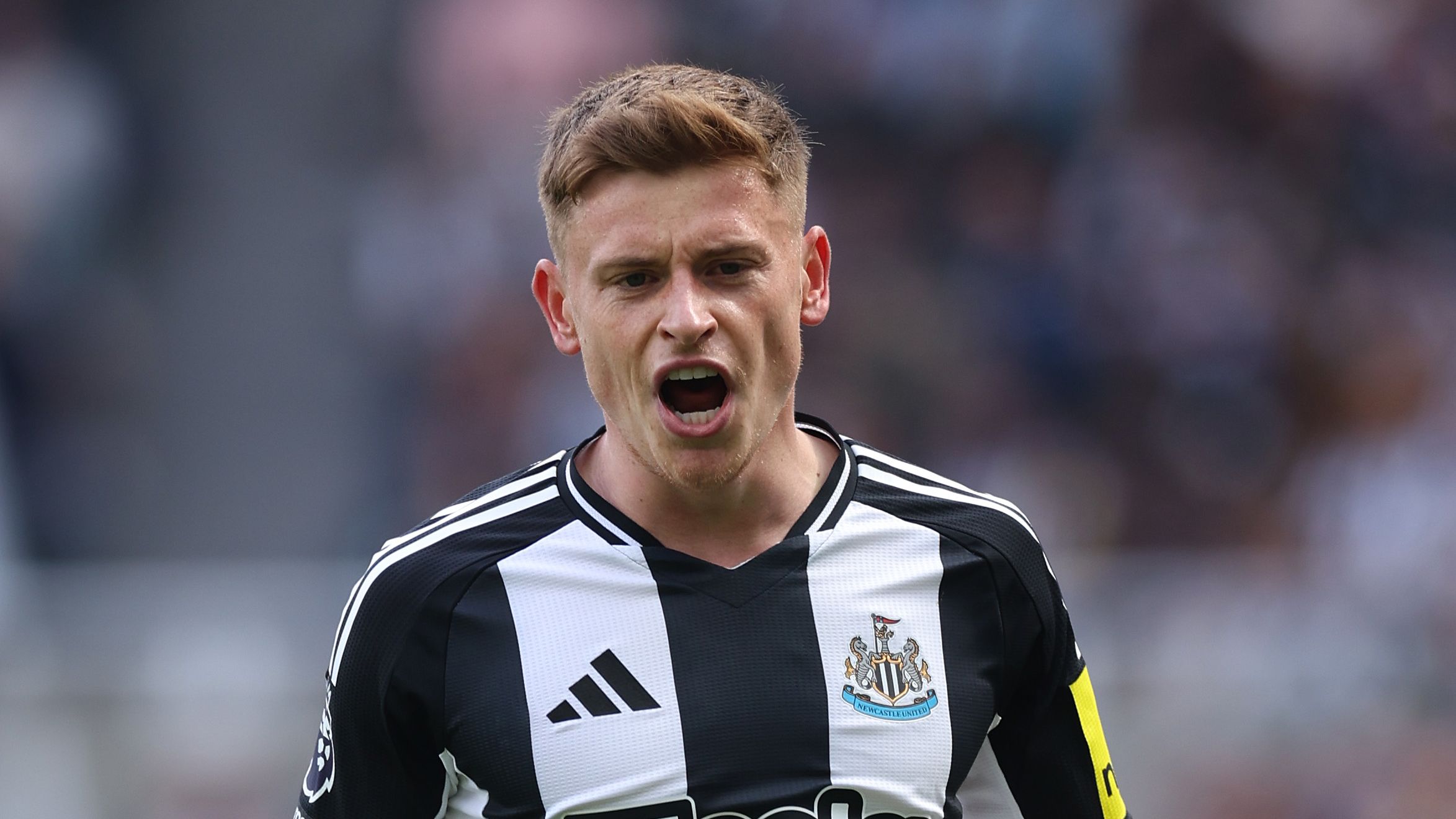 Newcastle United FC v Ipswich Town FC - Premier League