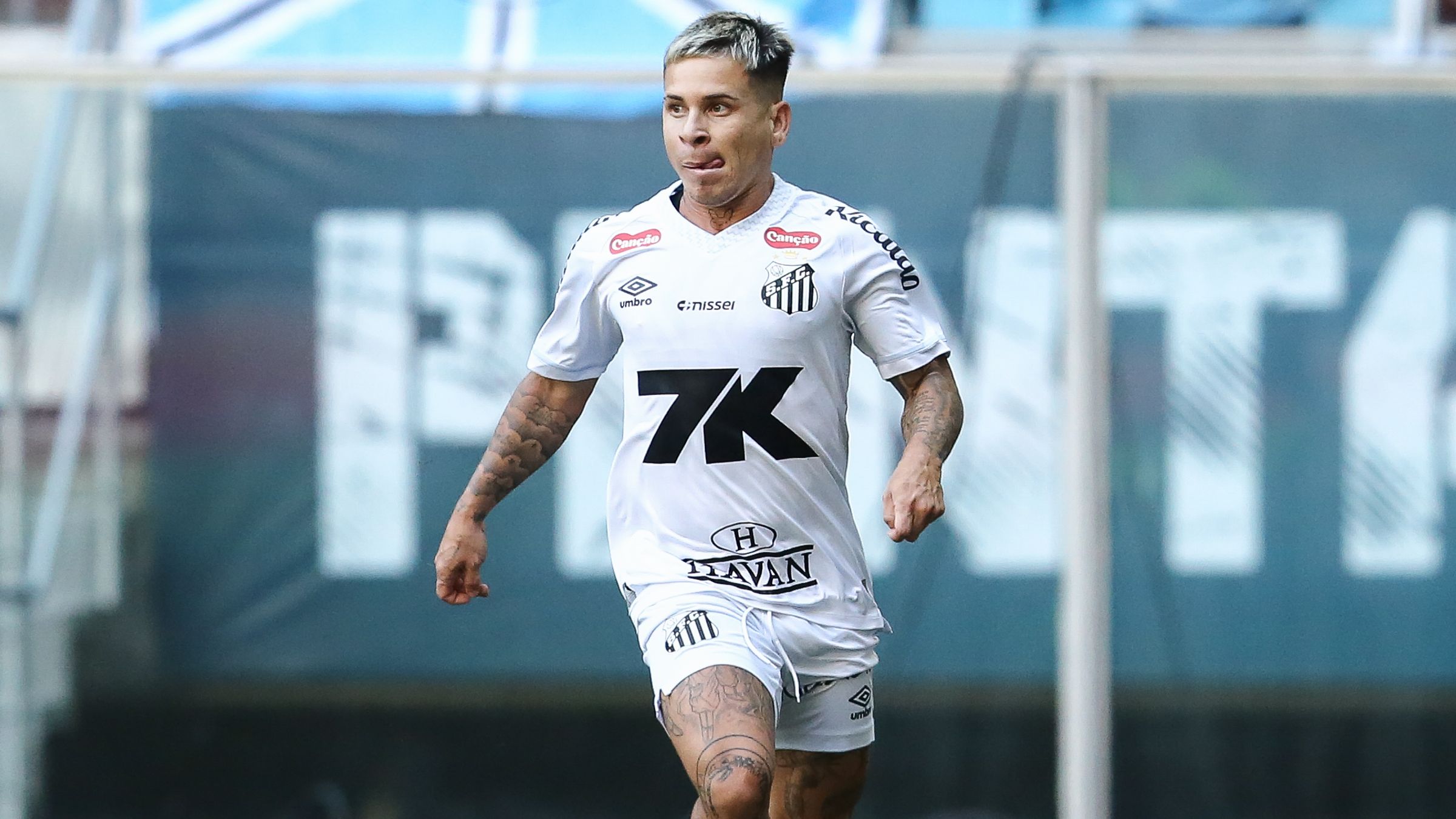 Gremio v Santos - Brasileirao 2025