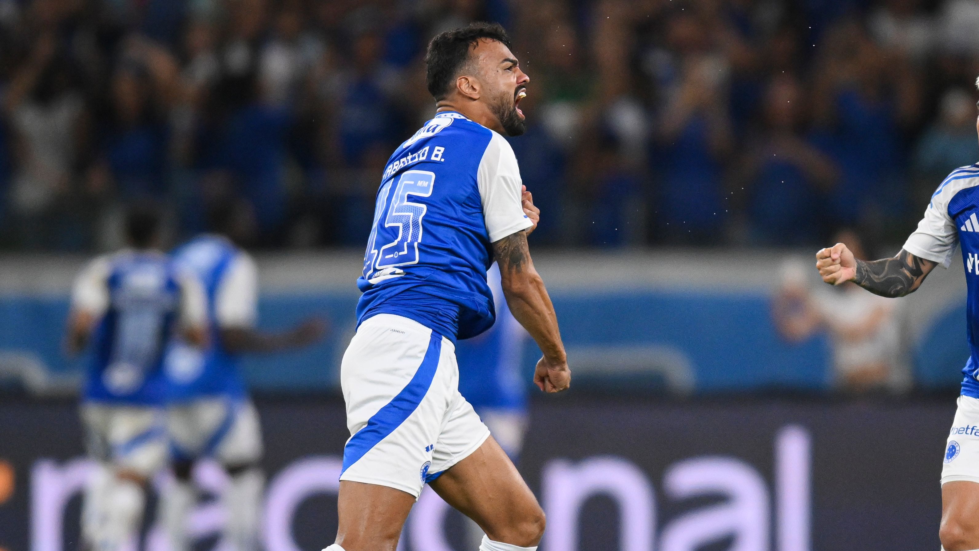 Cruzeiro v Flamengo - Brasileirao 2025