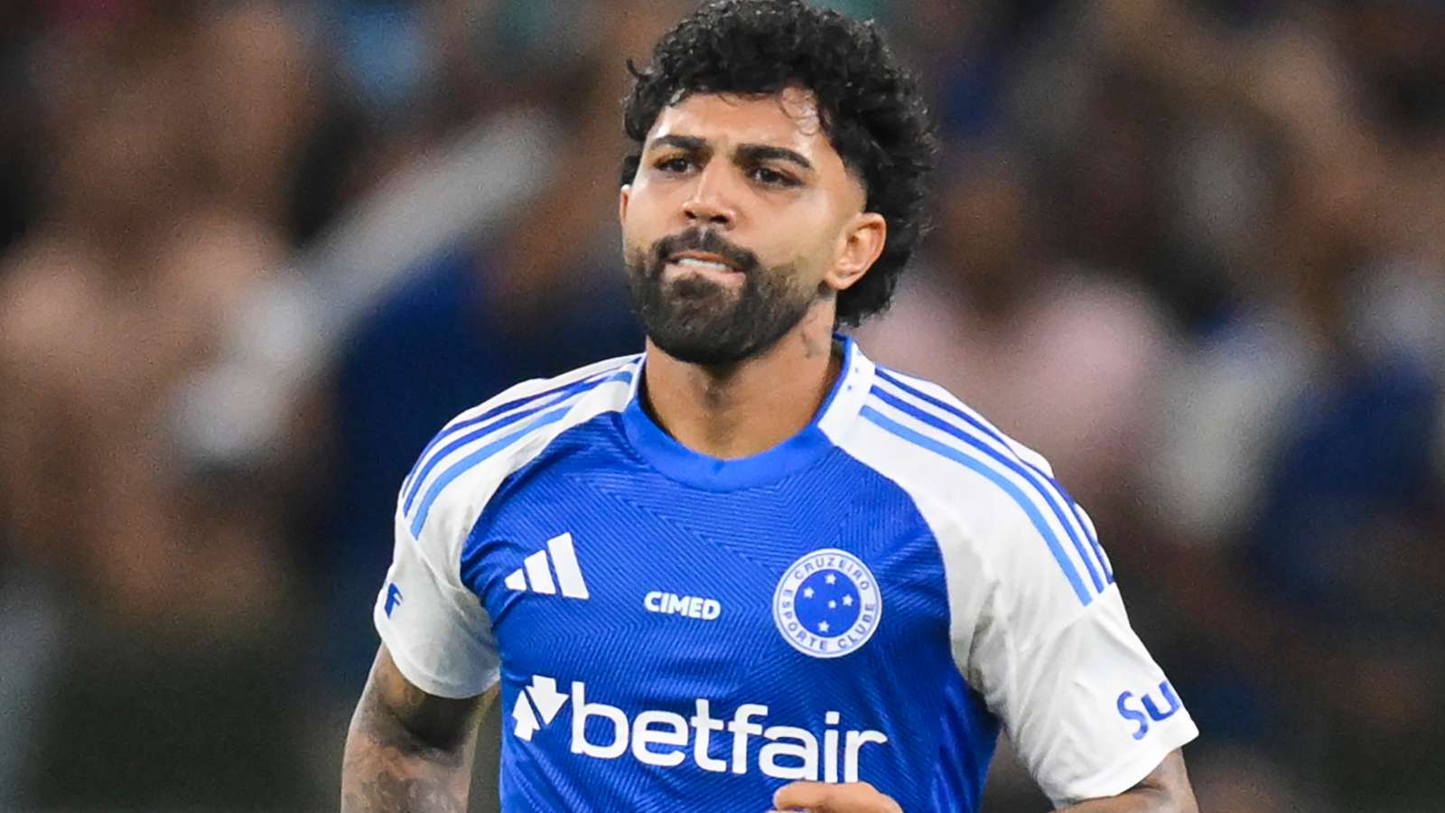 Cruzeiro v Flamengo - Brasileirao 2025