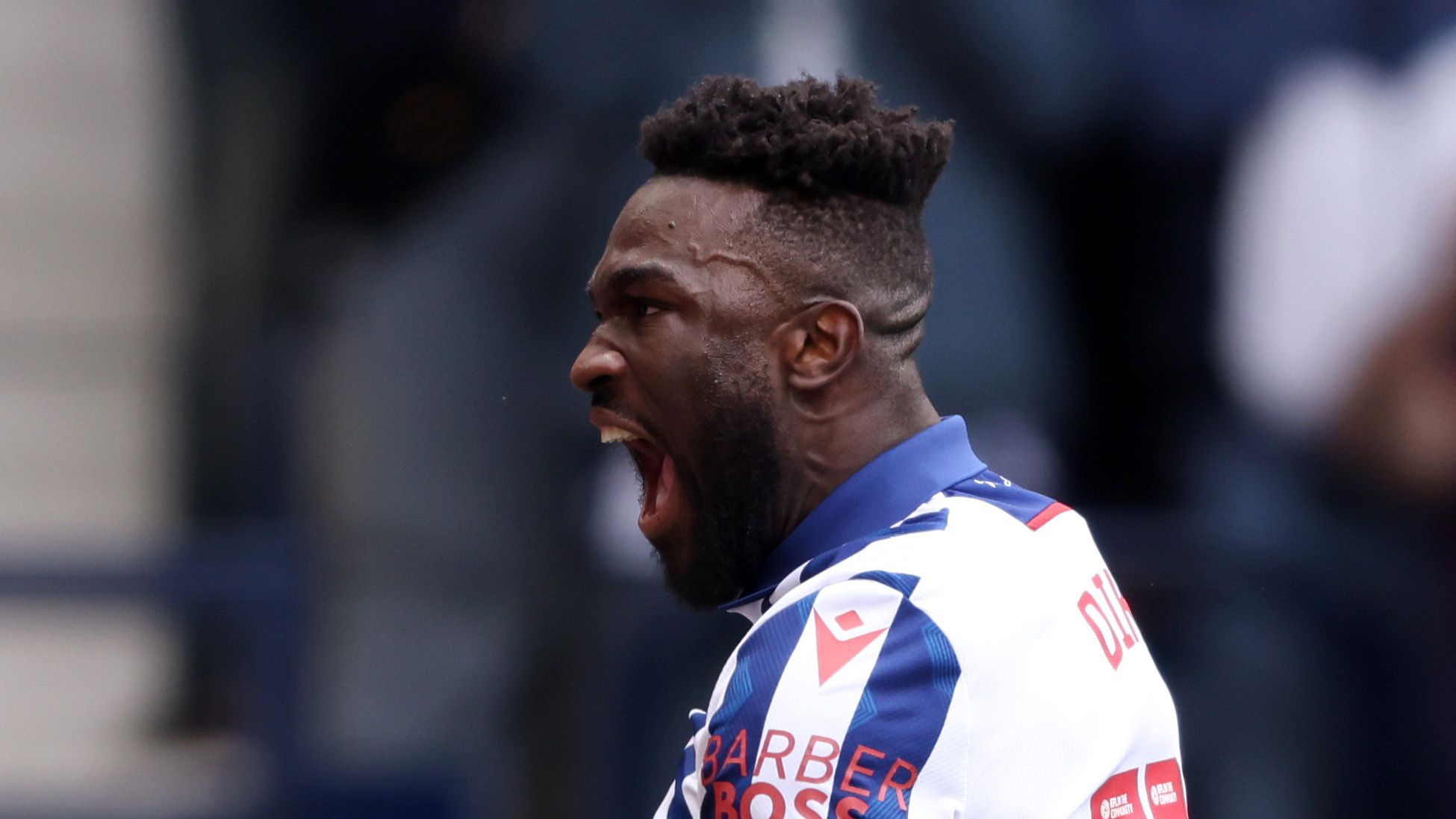 West Bromwich Albion FC v Luton Town FC - Sky Bet Championship