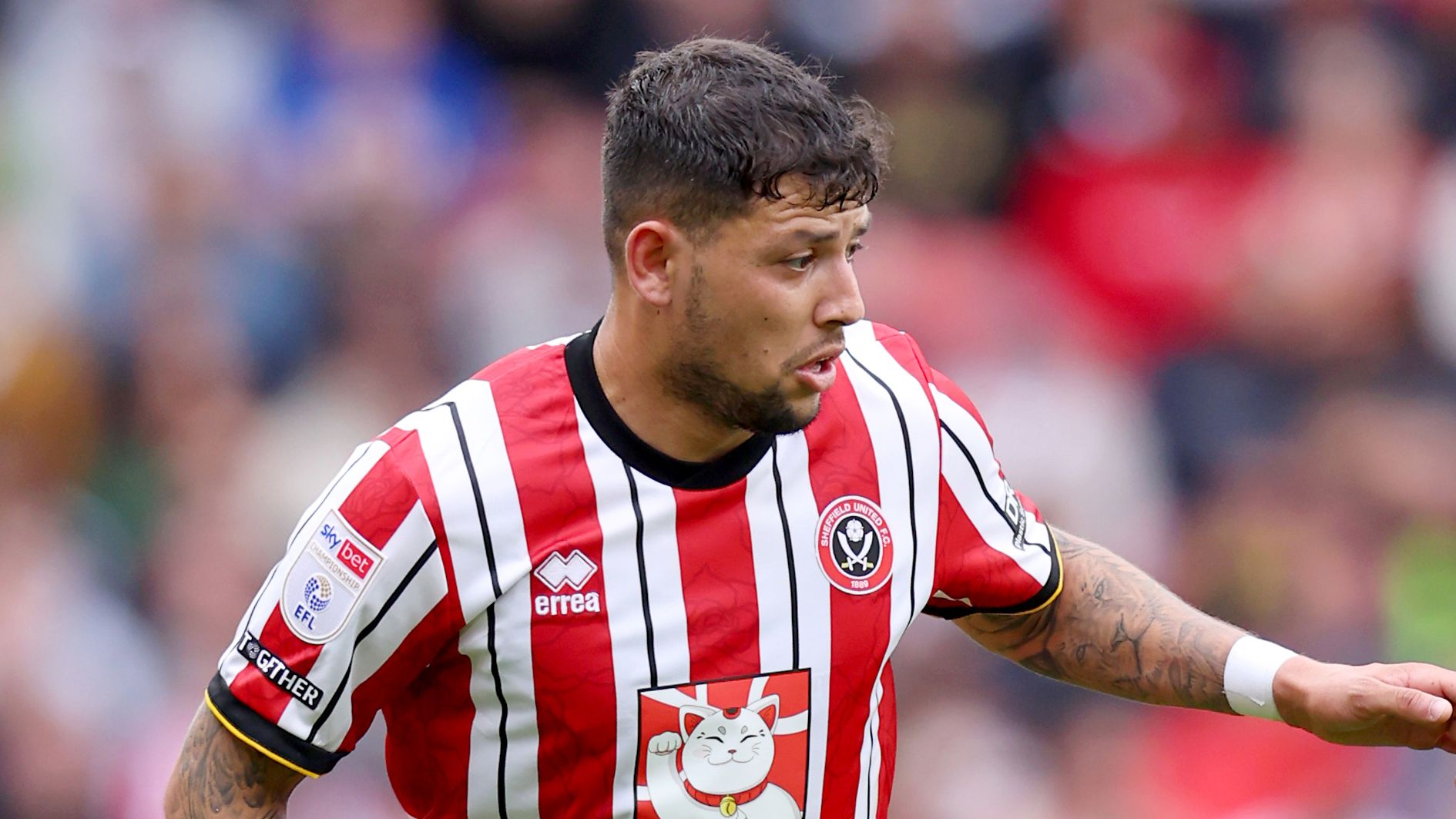 Sheffield United FC v Blackburn Rovers FC - Sky Bet Championship