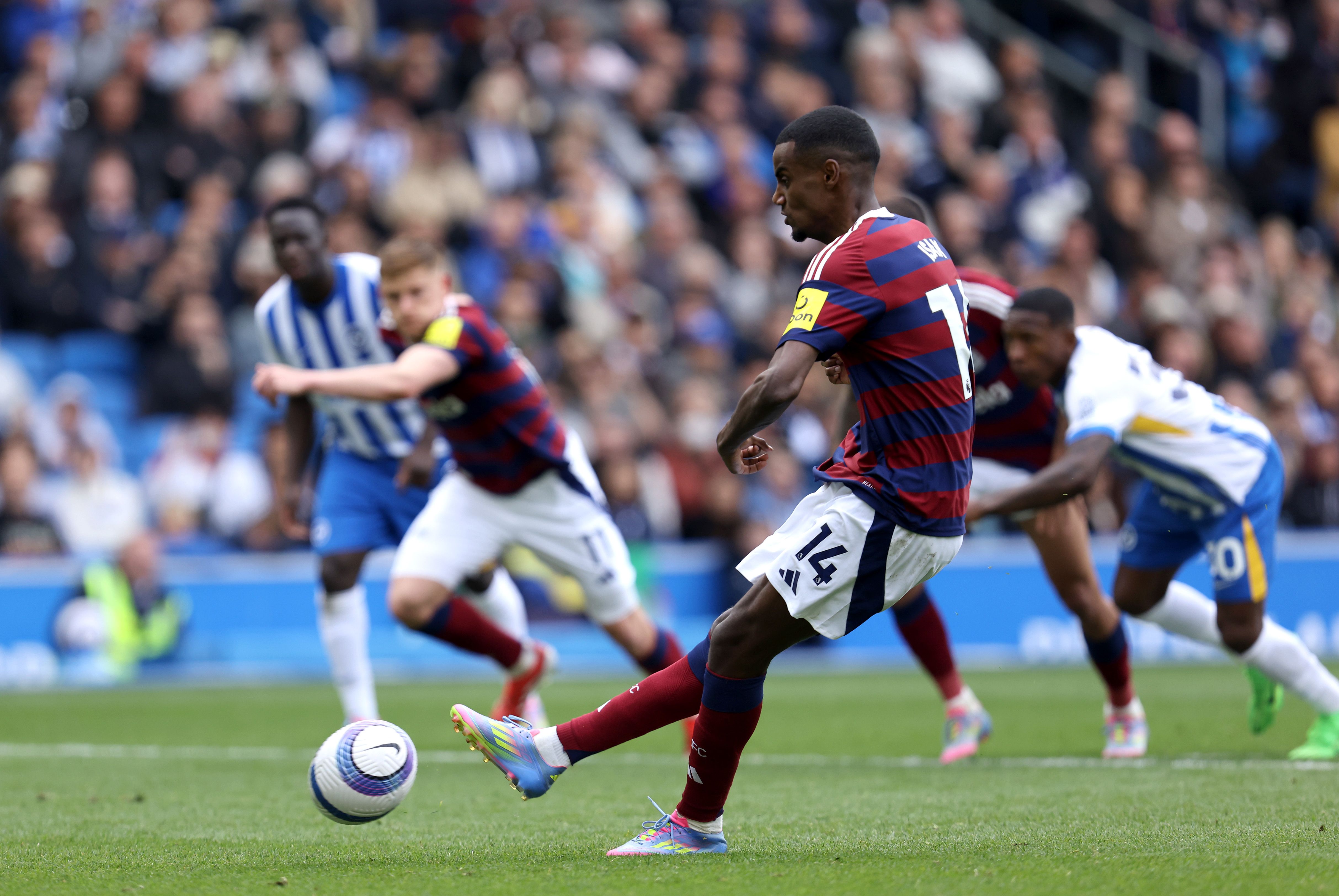 Brighton & Hove Albion FC v Newcastle United FC - Premier League