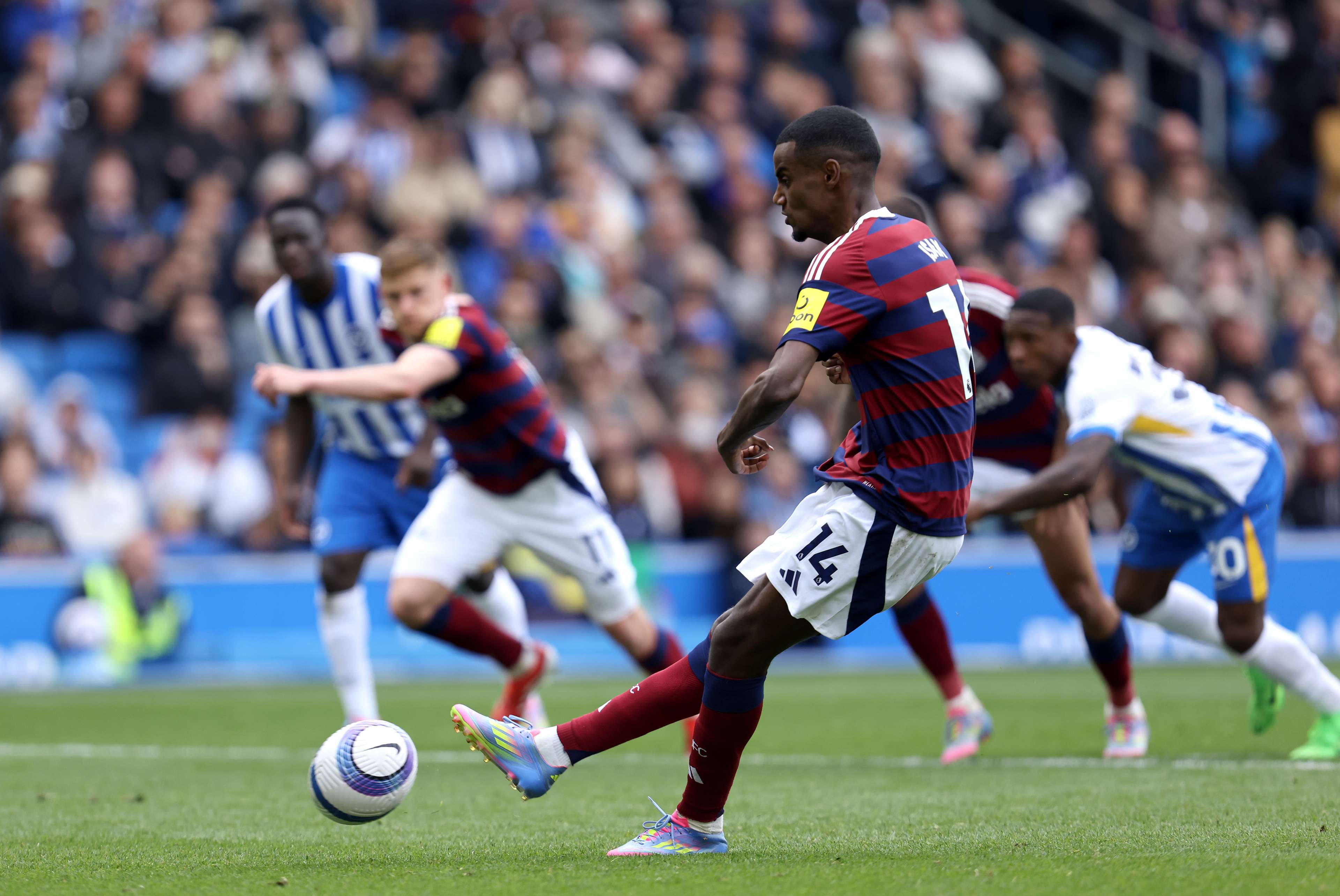 Brighton & Hove Albion FC v Newcastle United FC - Premier League