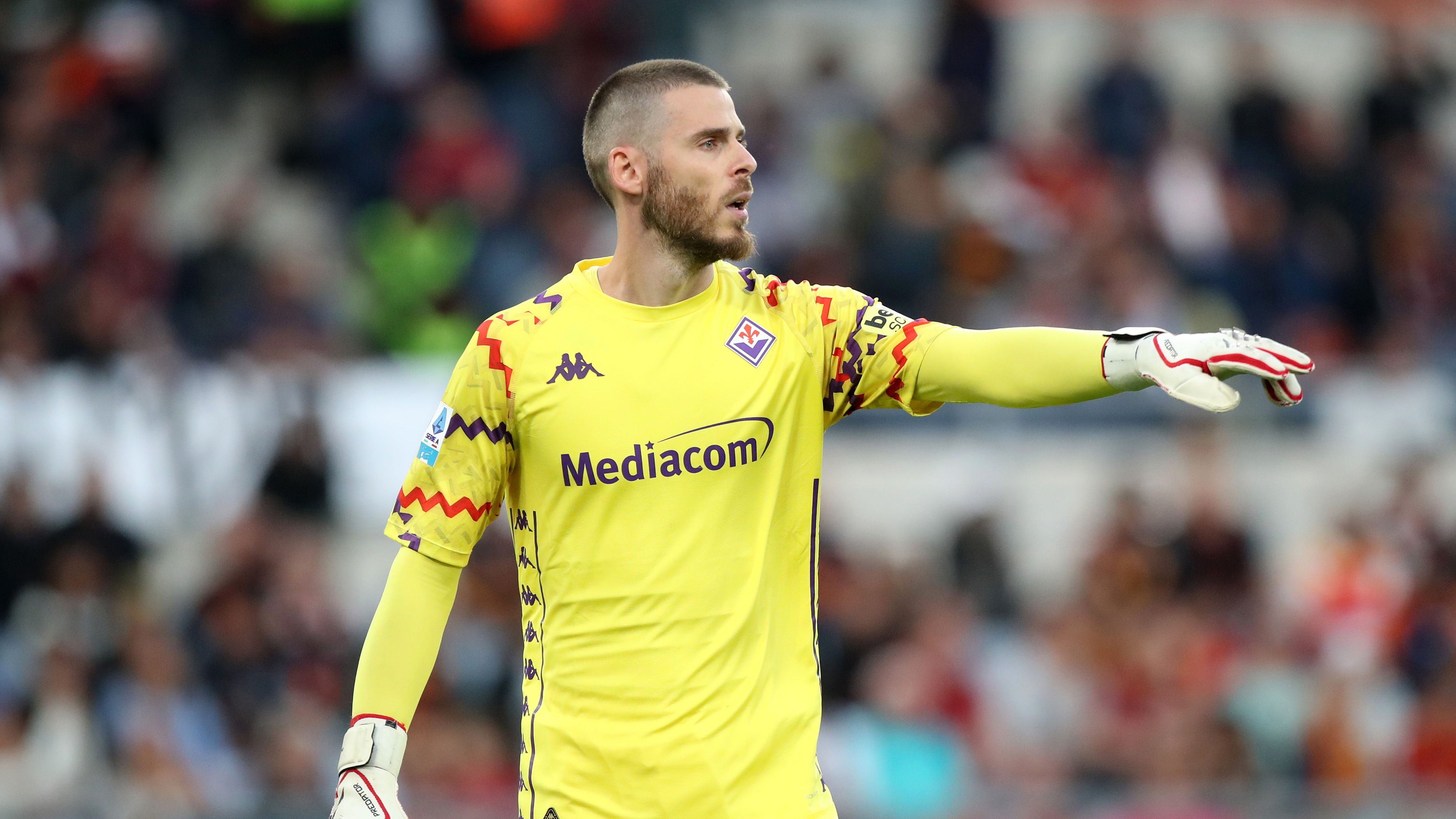 AS Roma v Fiorentina - Serie A