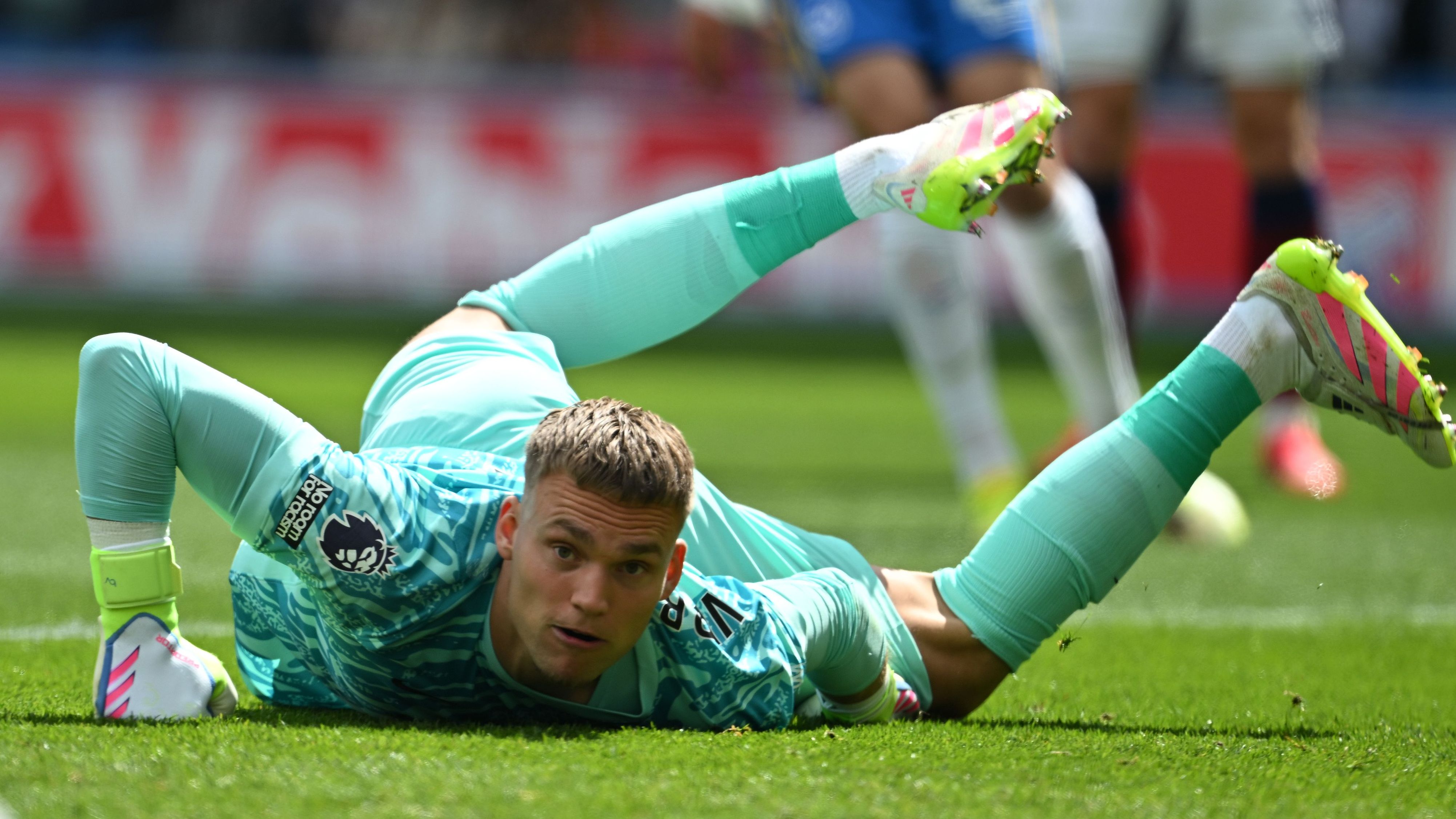 Brighton & Hove Albion FC v Newcastle United FC - Premier League