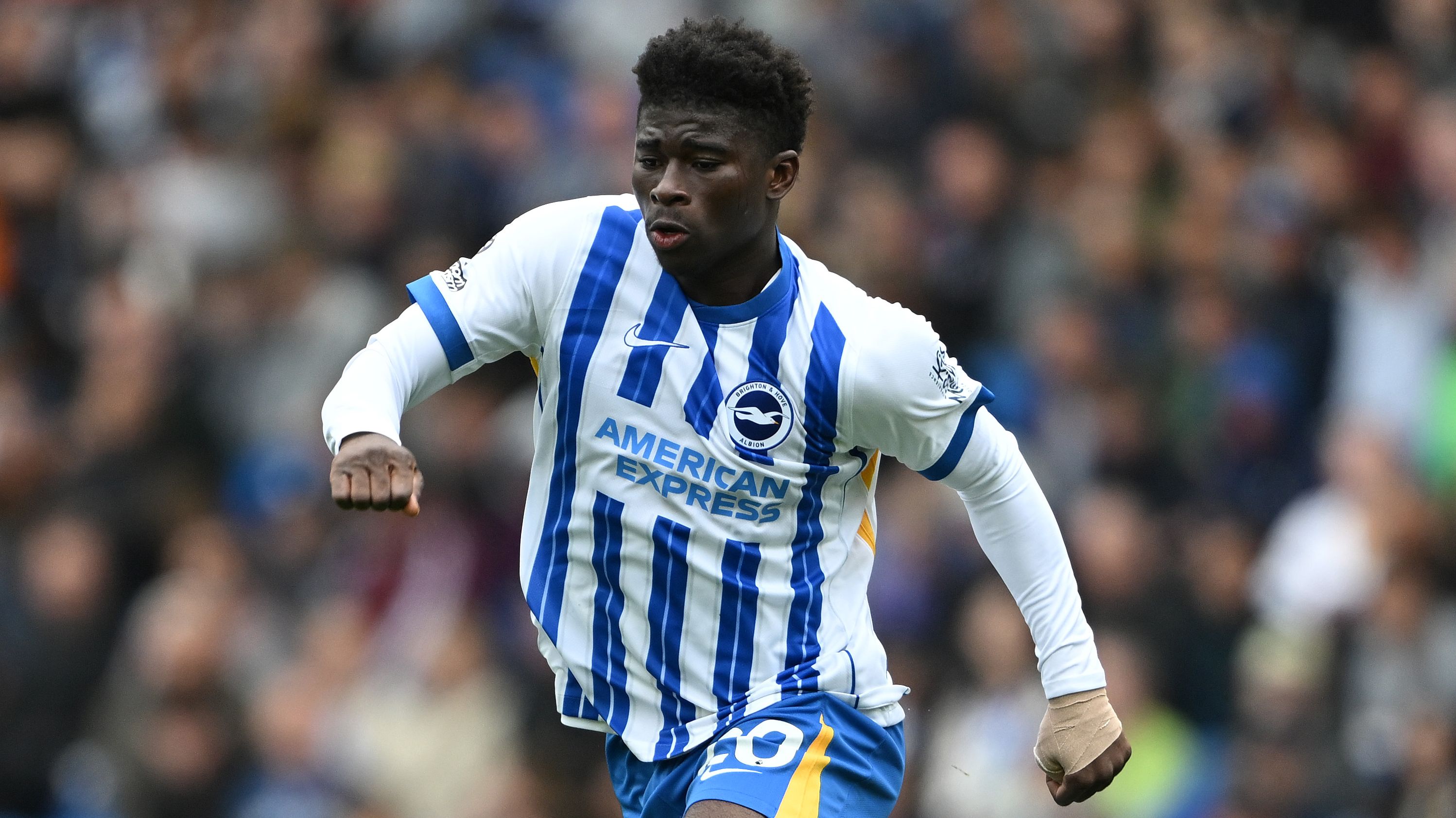 Brighton & Hove Albion FC v Newcastle United FC - Premier League