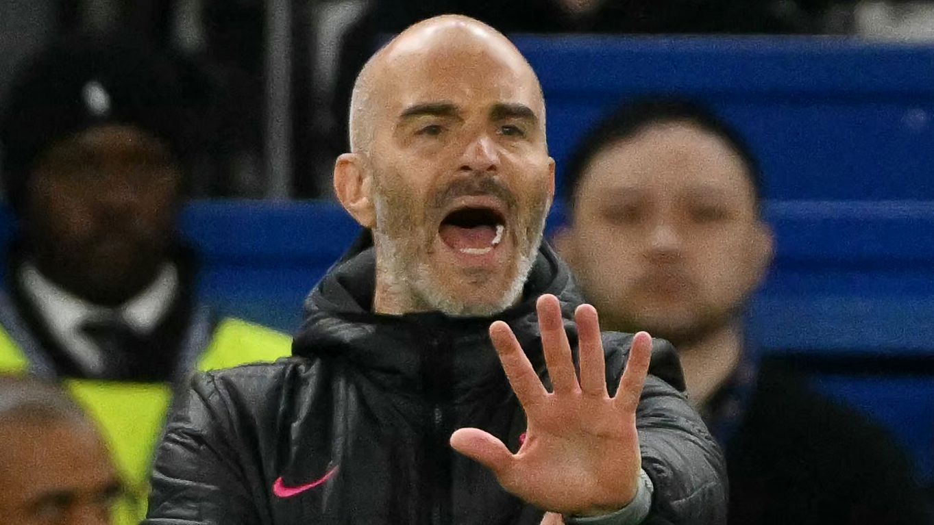 FBL-EUR-C4-CHELSEA-DJURGARDENS