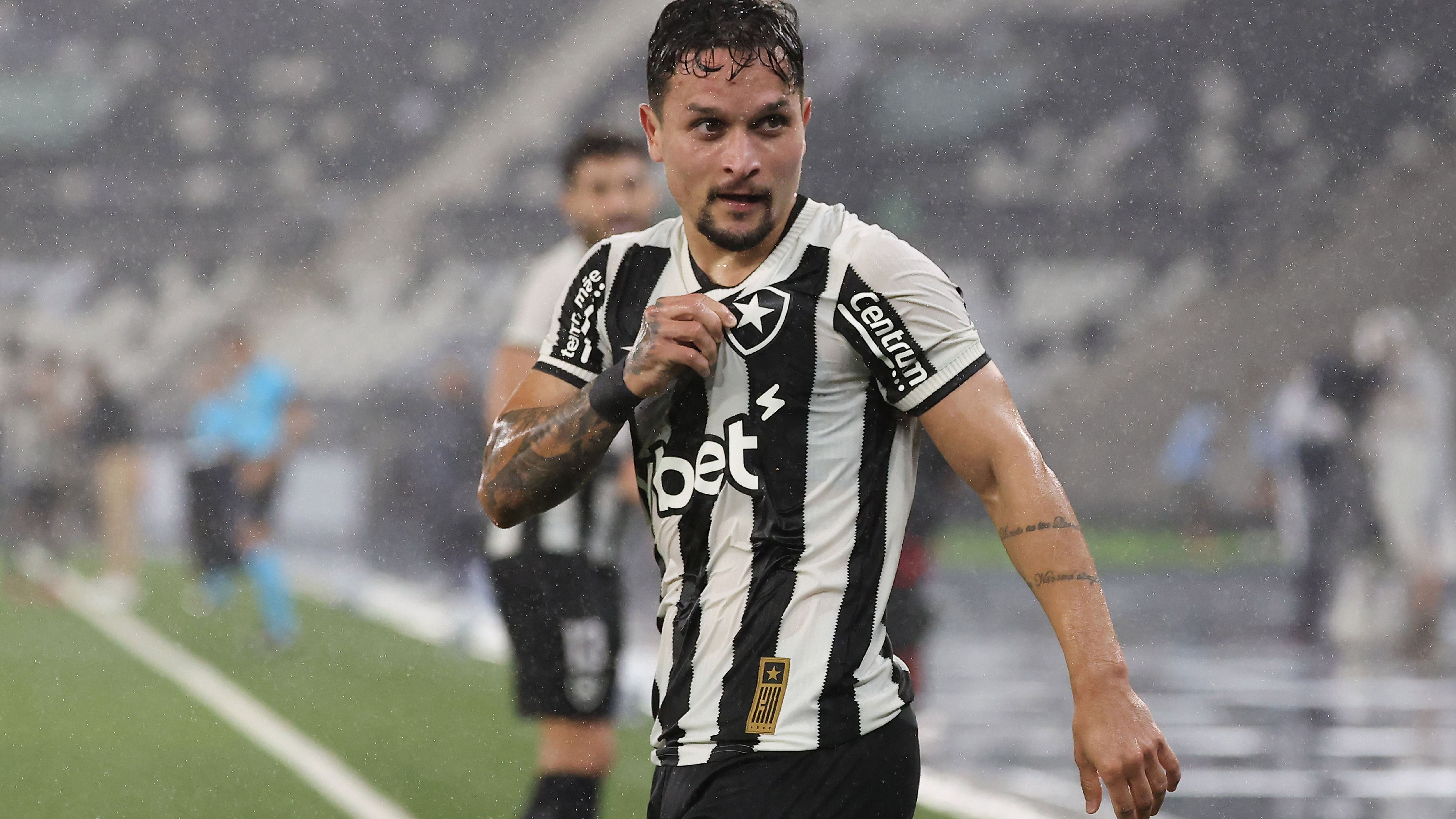 Botafogo v Internacional - Brasileirao 2025