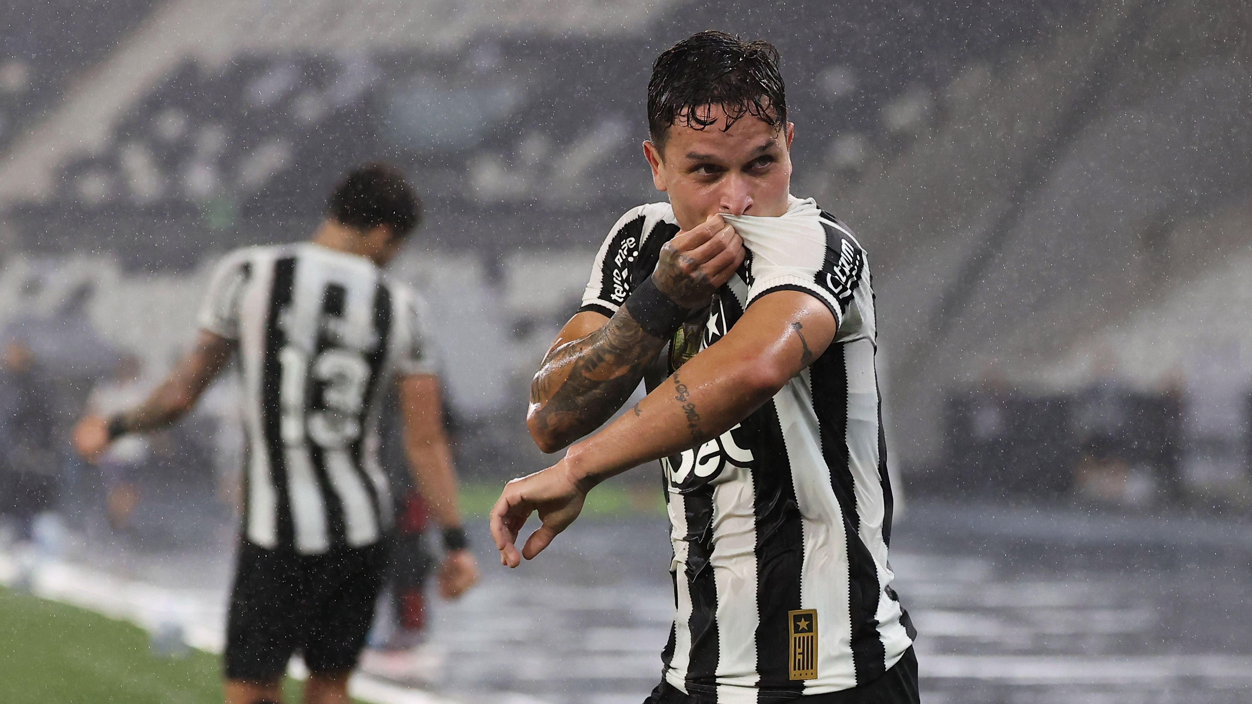 Botafogo v Internacional - Brasileirao 2025