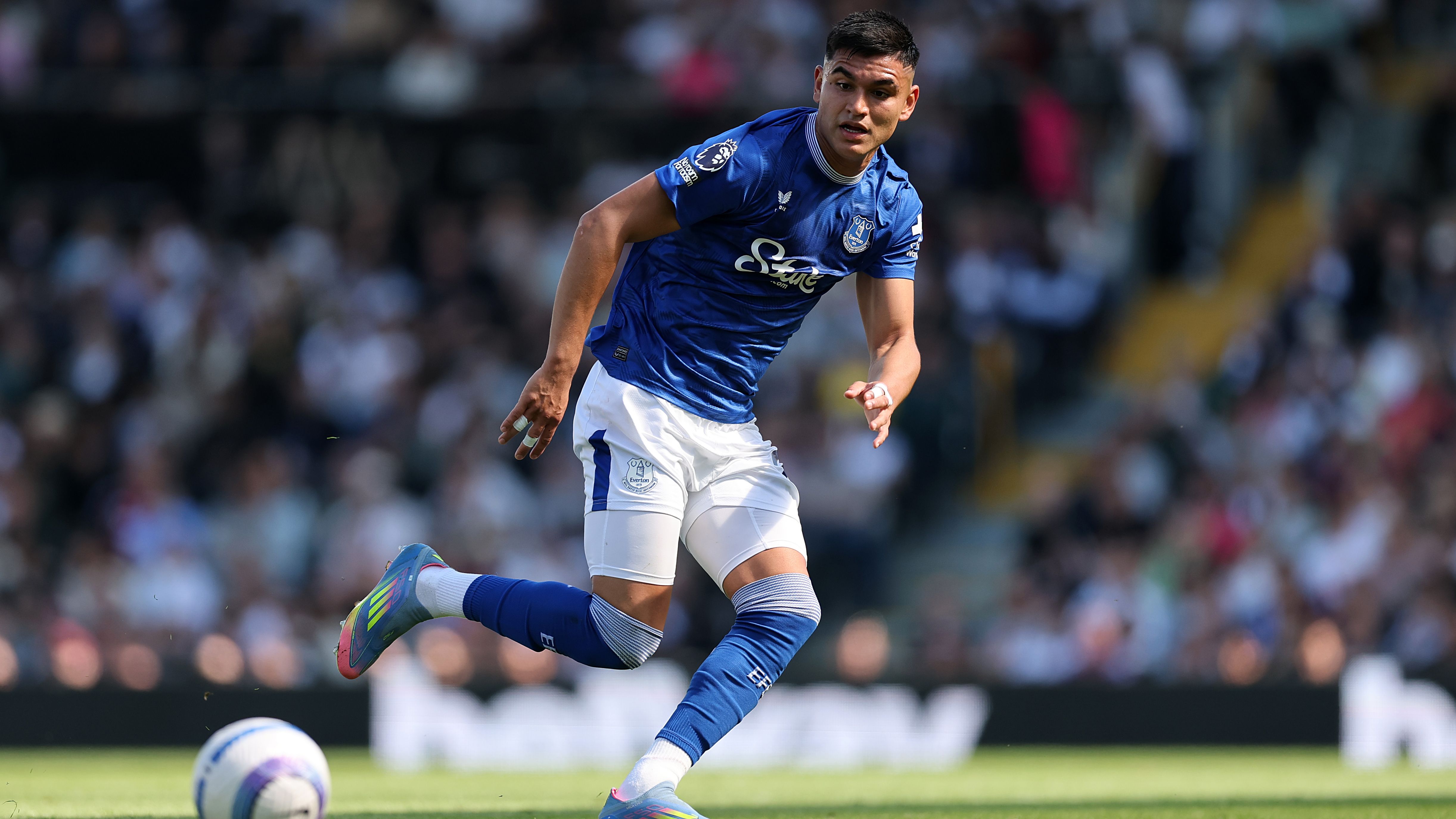 Fulham FC v Everton FC - Premier League