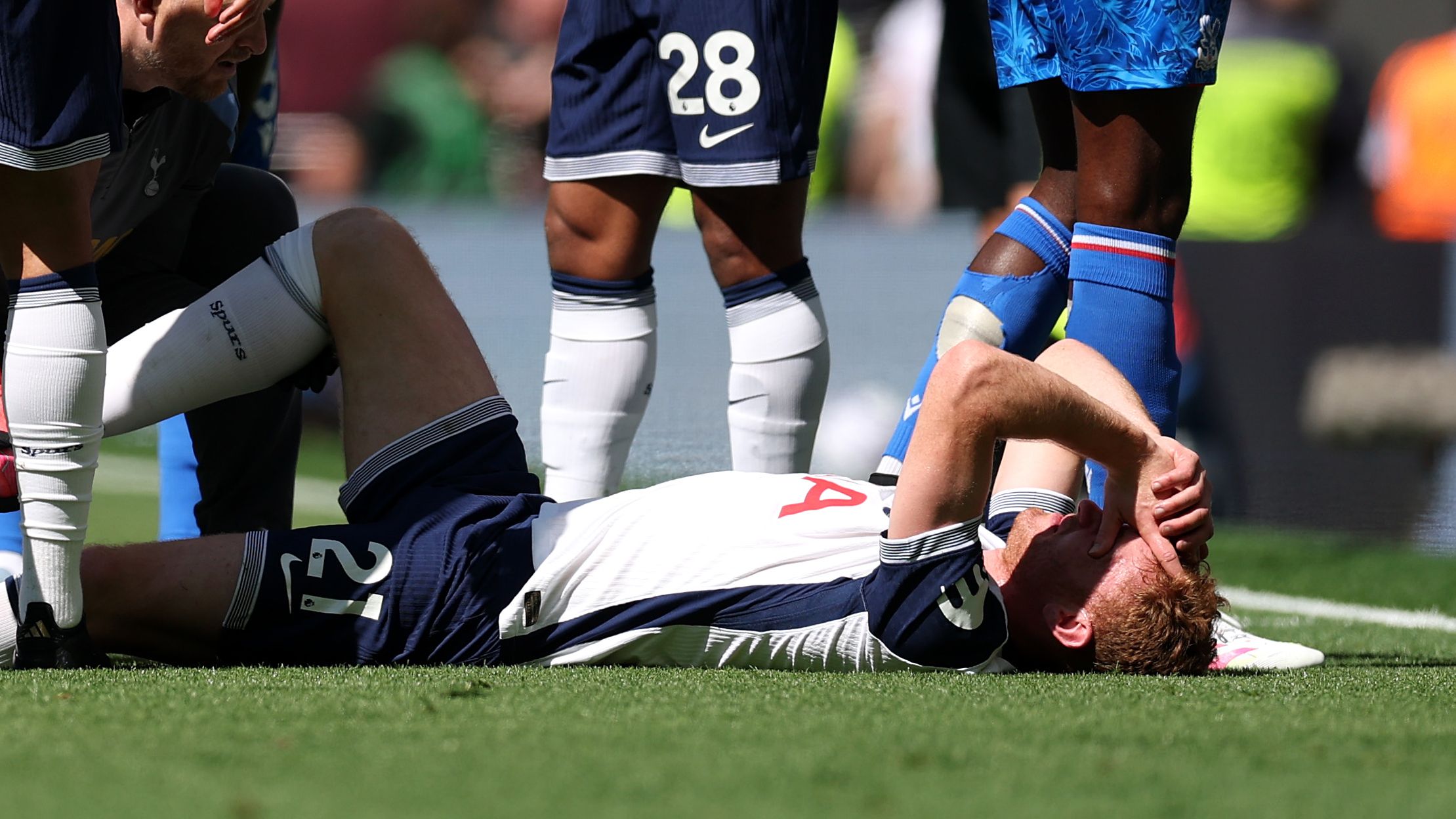 Tottenham Hotspur FC v Crystal Palace FC - Premier League