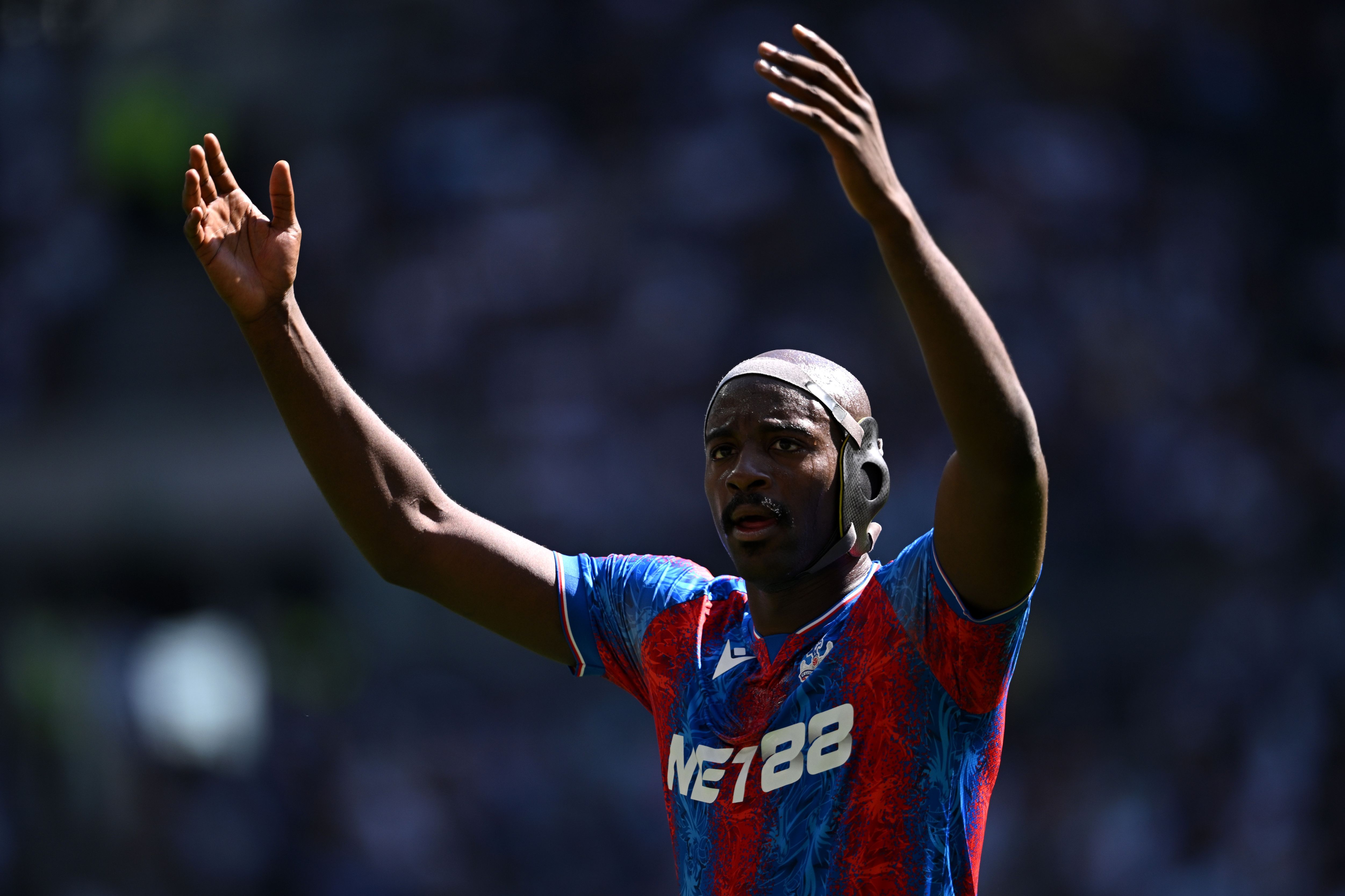 Tottenham Hotspur FC v Crystal Palace FC - Premier League