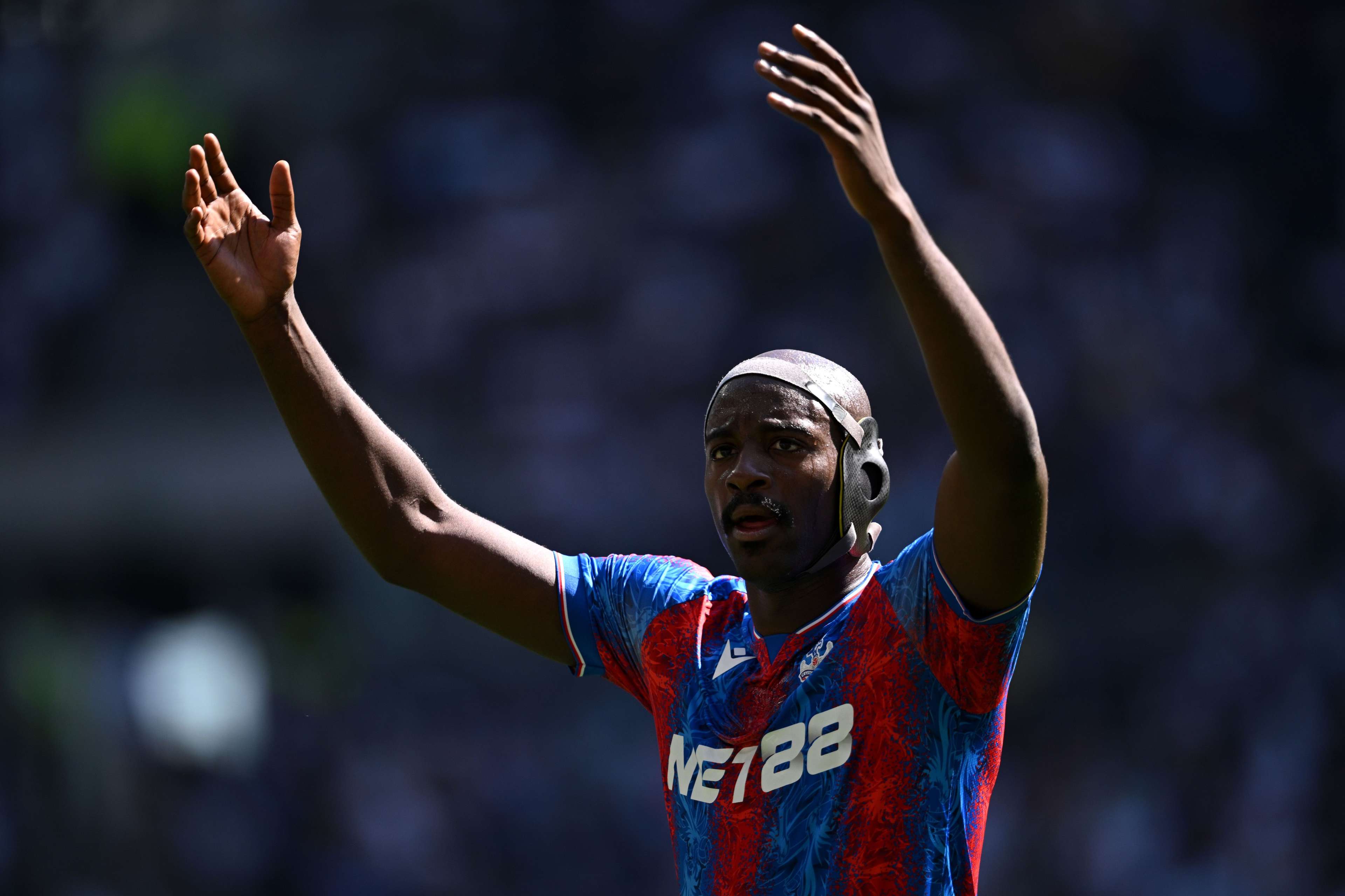 Tottenham Hotspur FC v Crystal Palace FC - Premier League